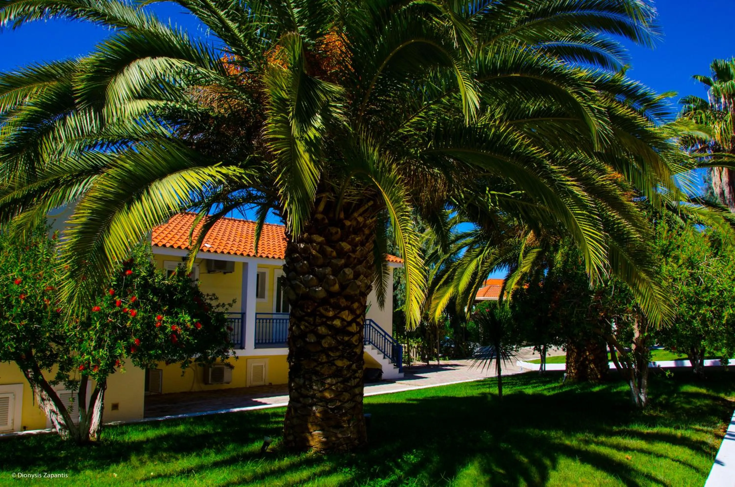 Garden in Liberatos Village