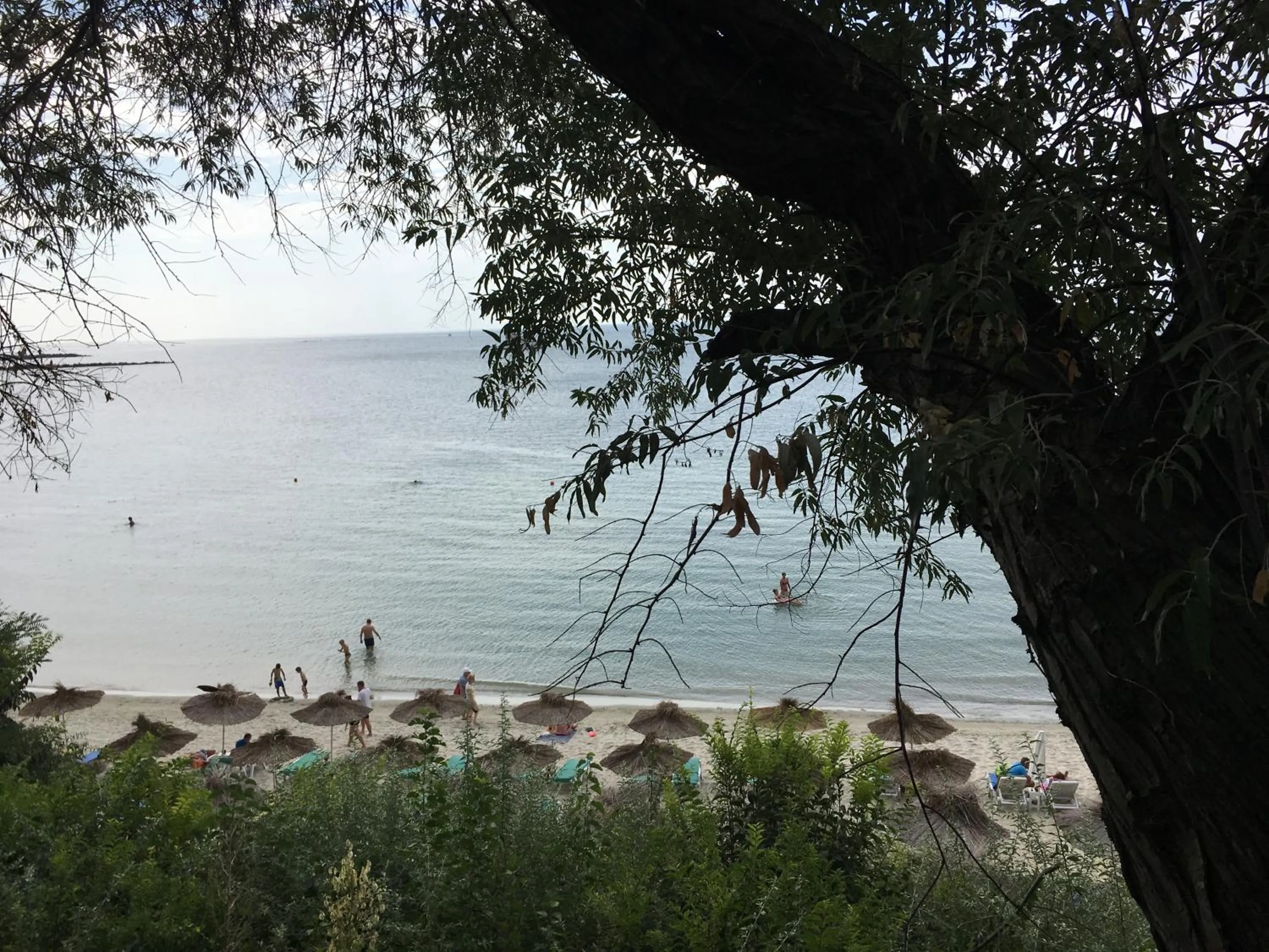 Natural landscape in Hotel Capri