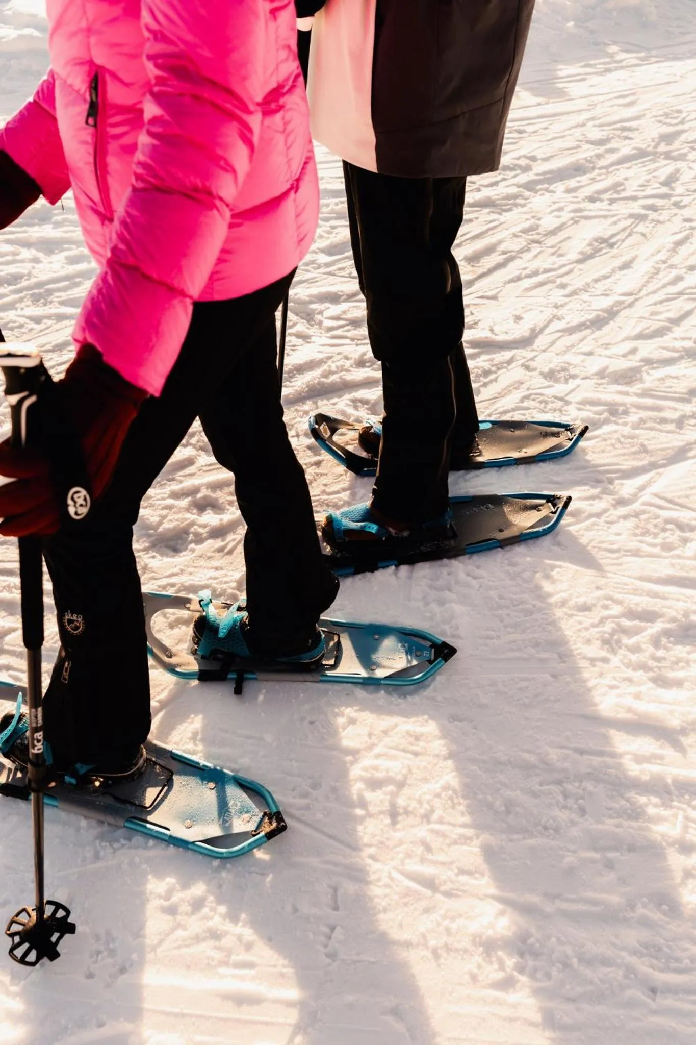 Activities in Viceroy Snowmass