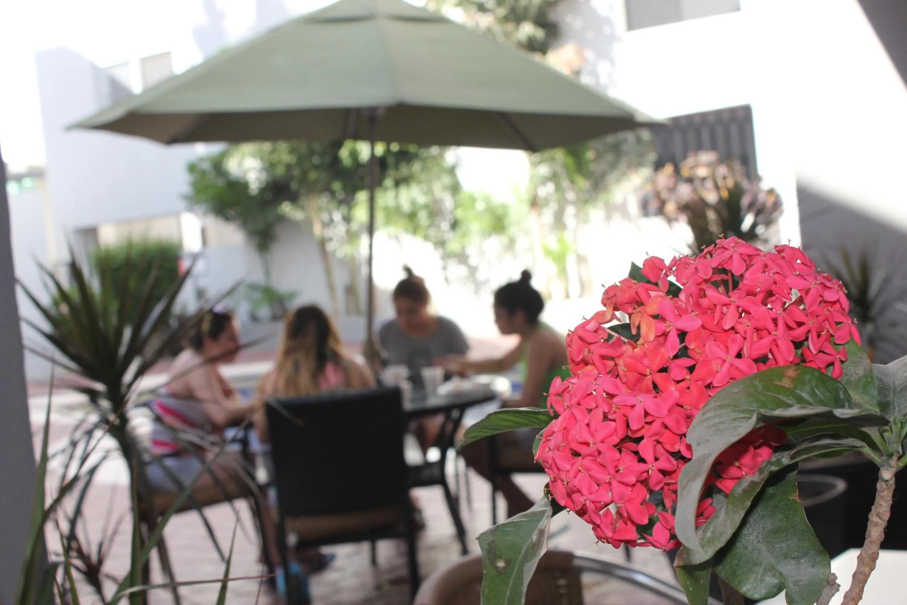 group of guests in Seven Crown Express & Suites by Kavia