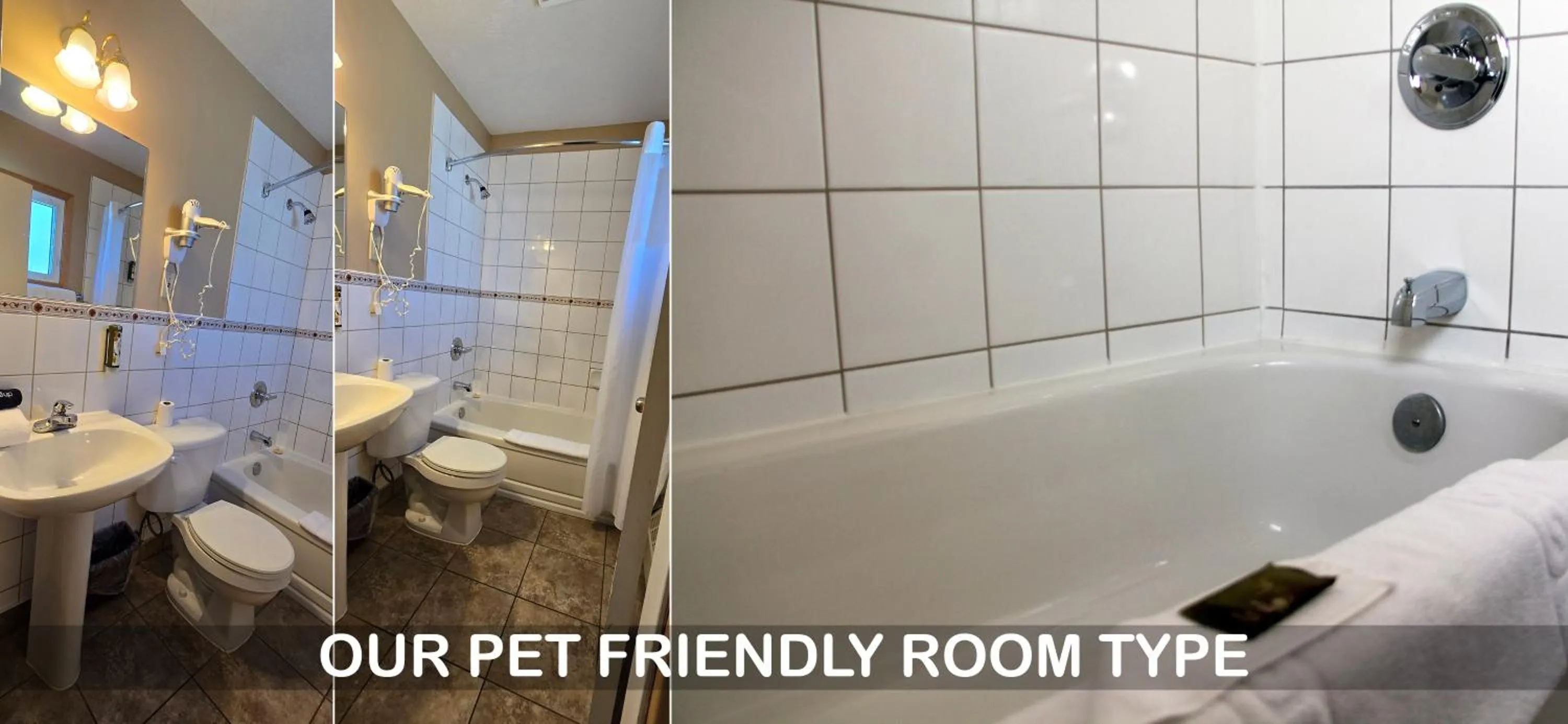 Toilet in Aspen Village