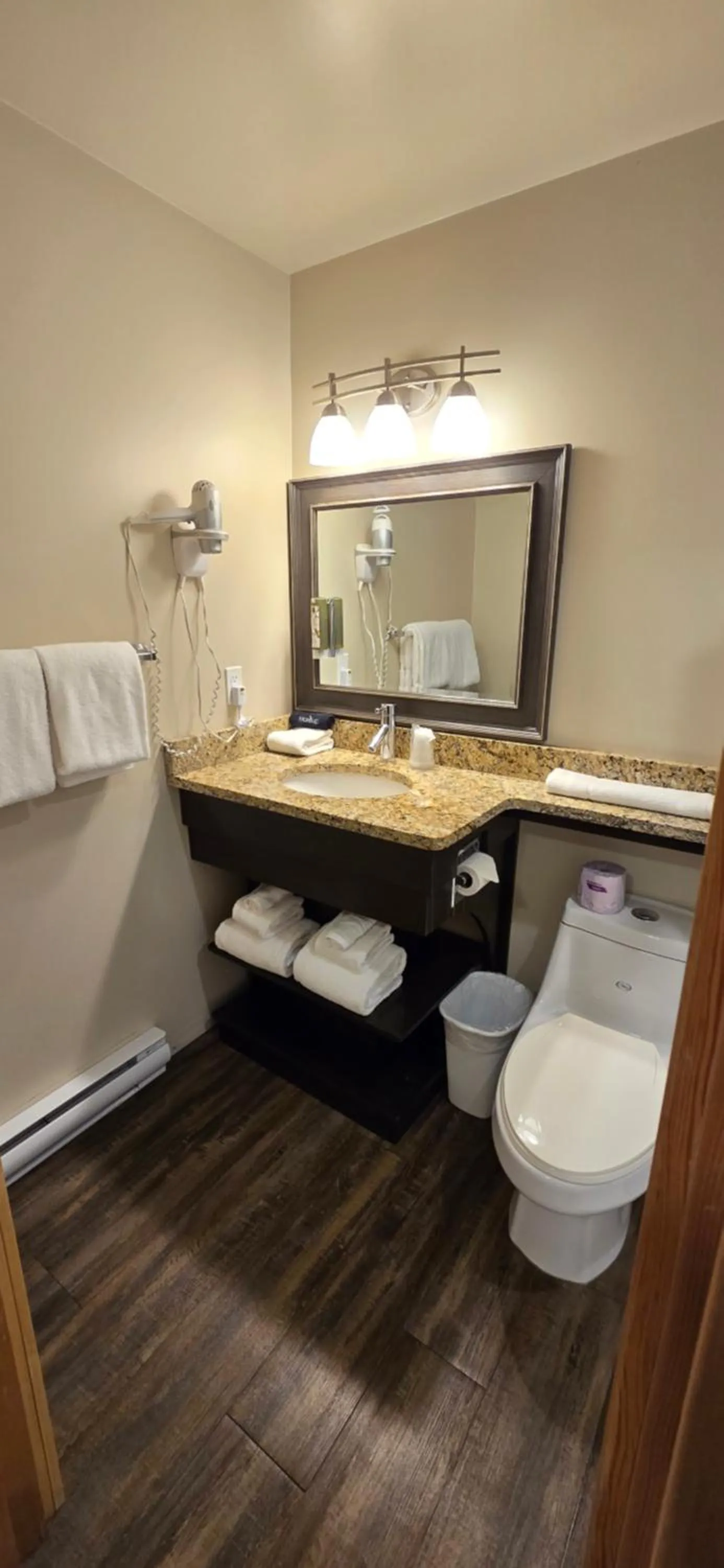 Toilet in Aspen Village