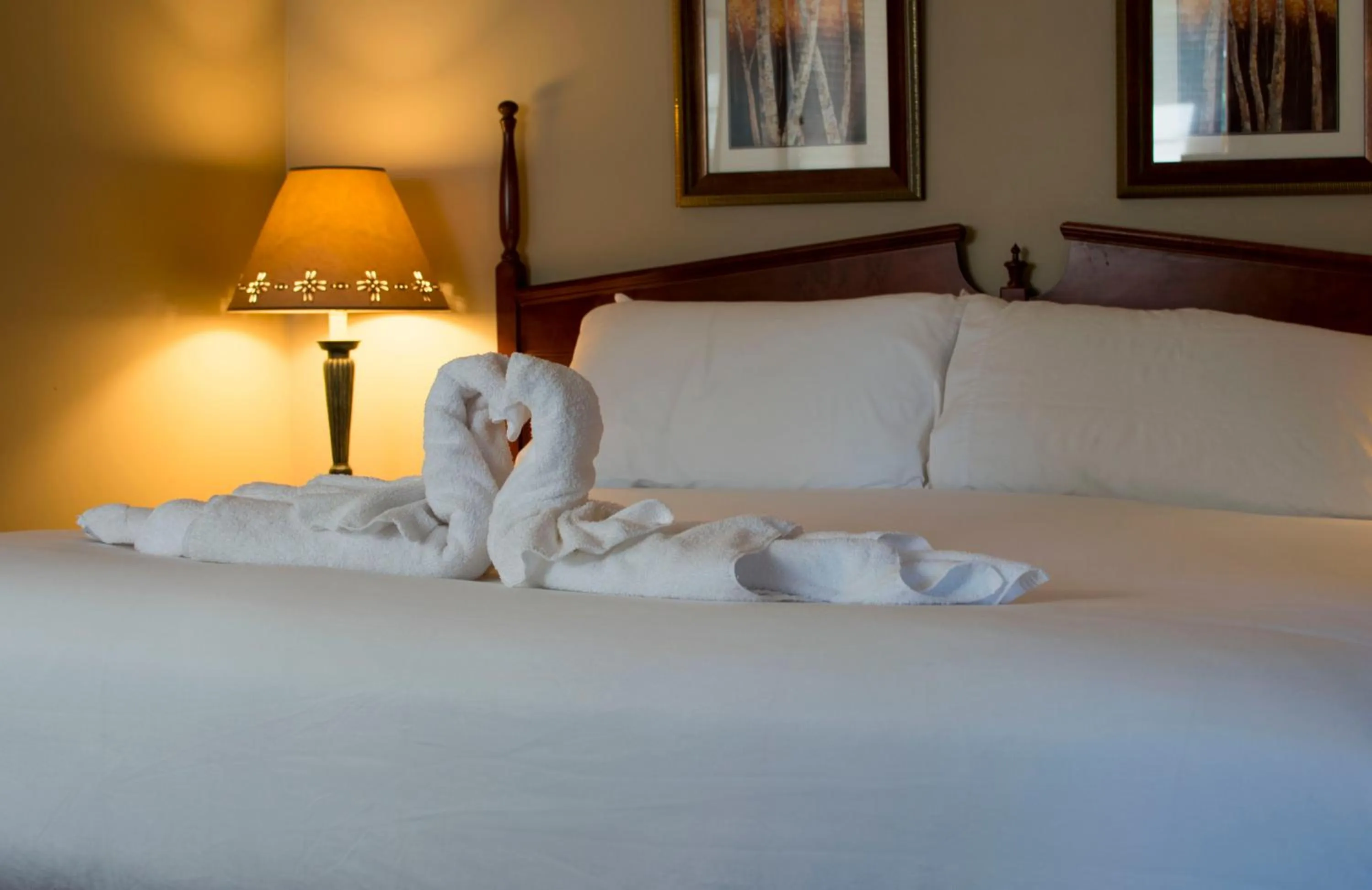 Bed in Aspen Village