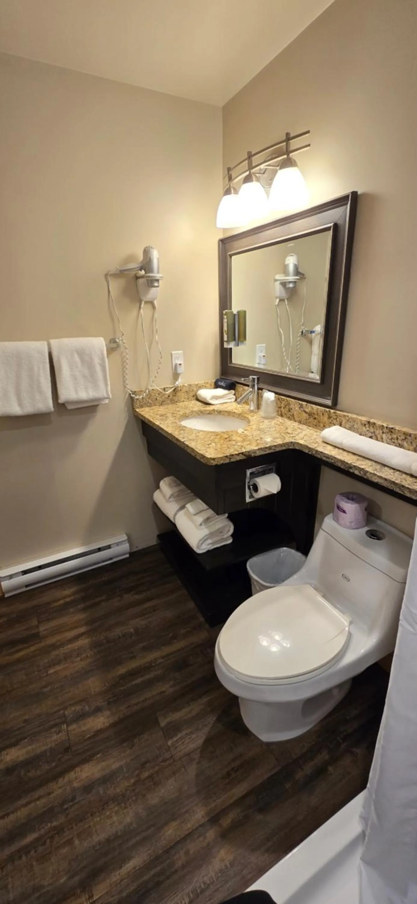 Toilet in Aspen Village