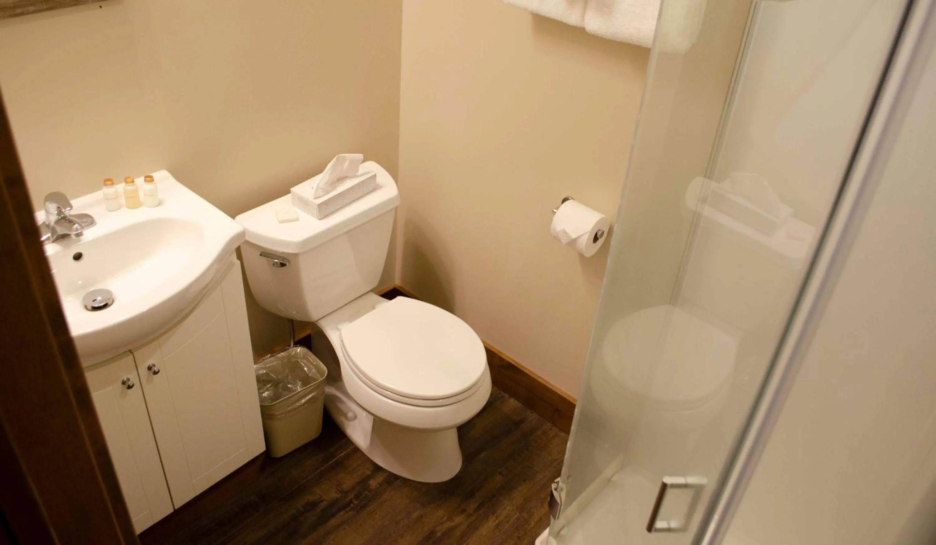 Toilet in Aspen Village