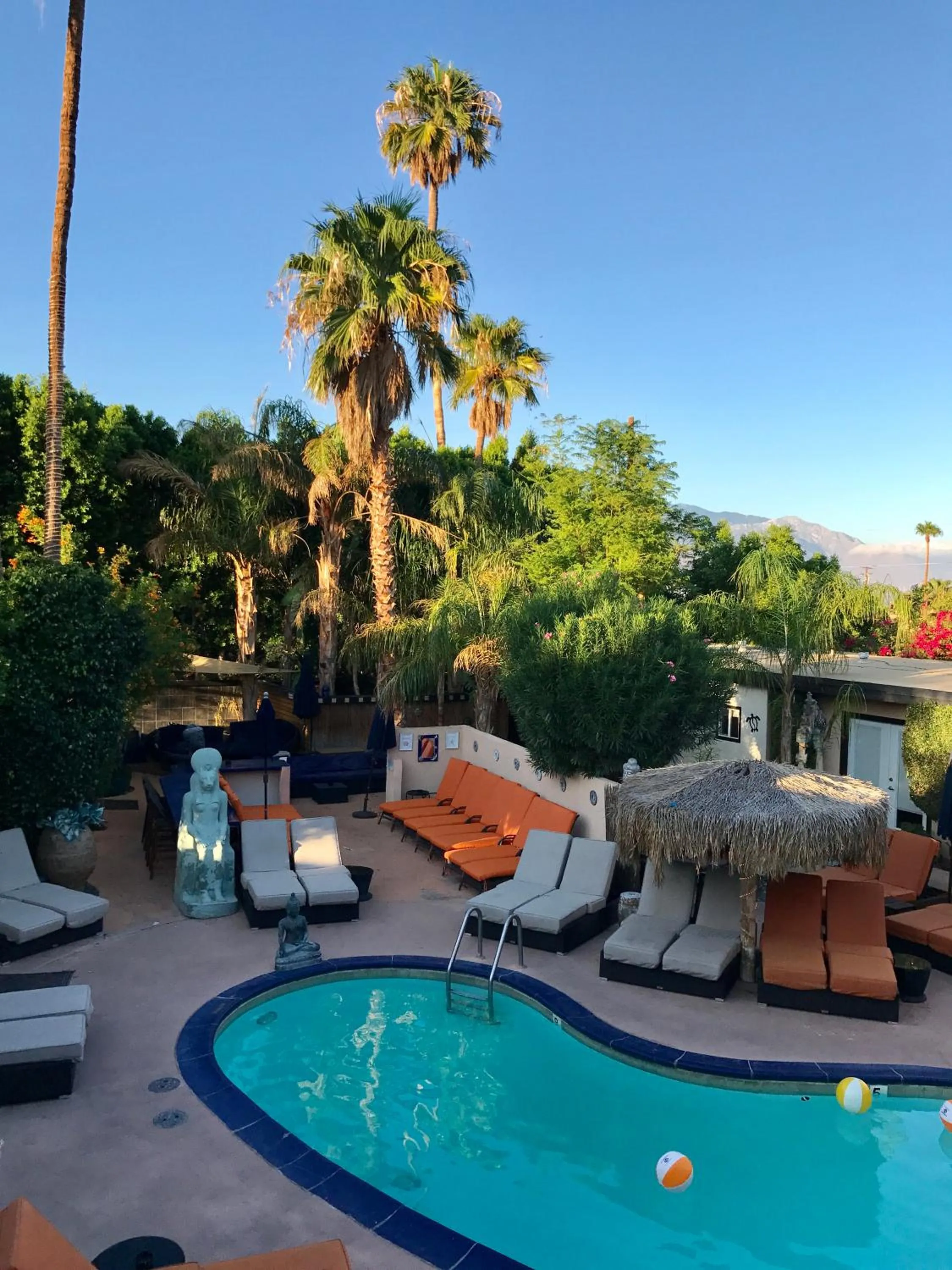 Pool view in Sea Mountain Nude Resort & Spa Hotel - Adults Only