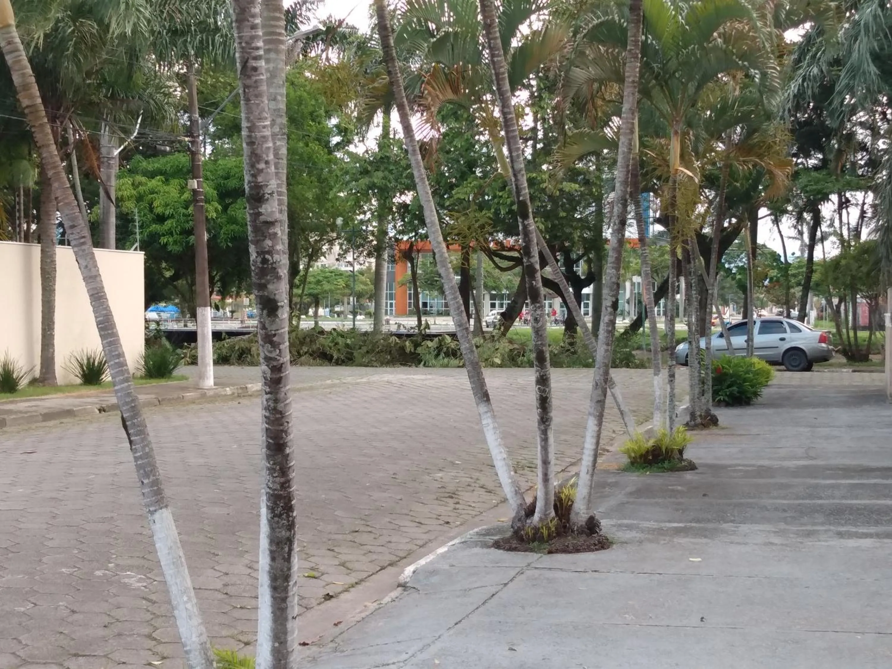 On site in Pousada Primavera