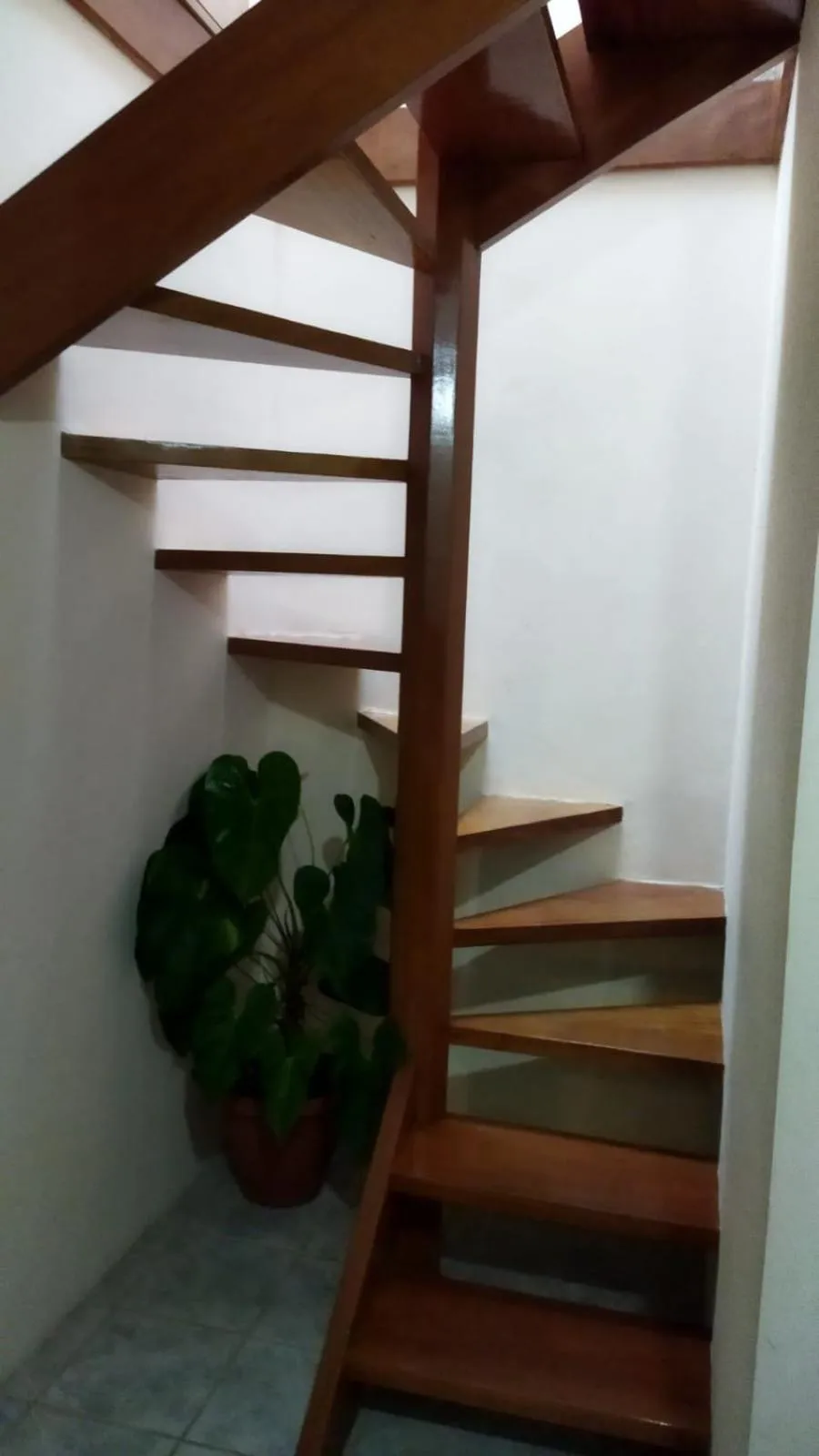 acessibility in Pousada Primavera