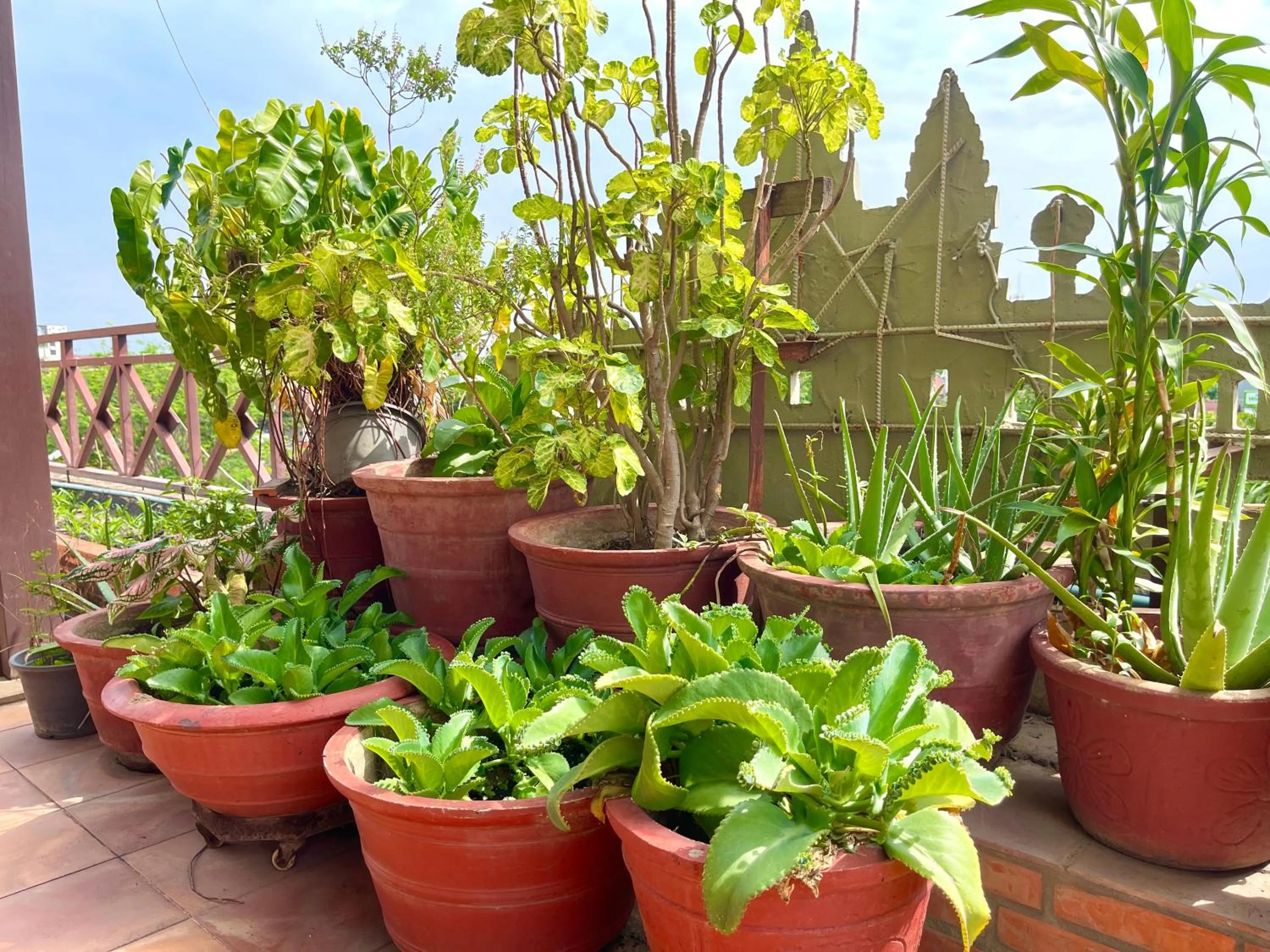 Garden in Siem Reap Riverside Hotel