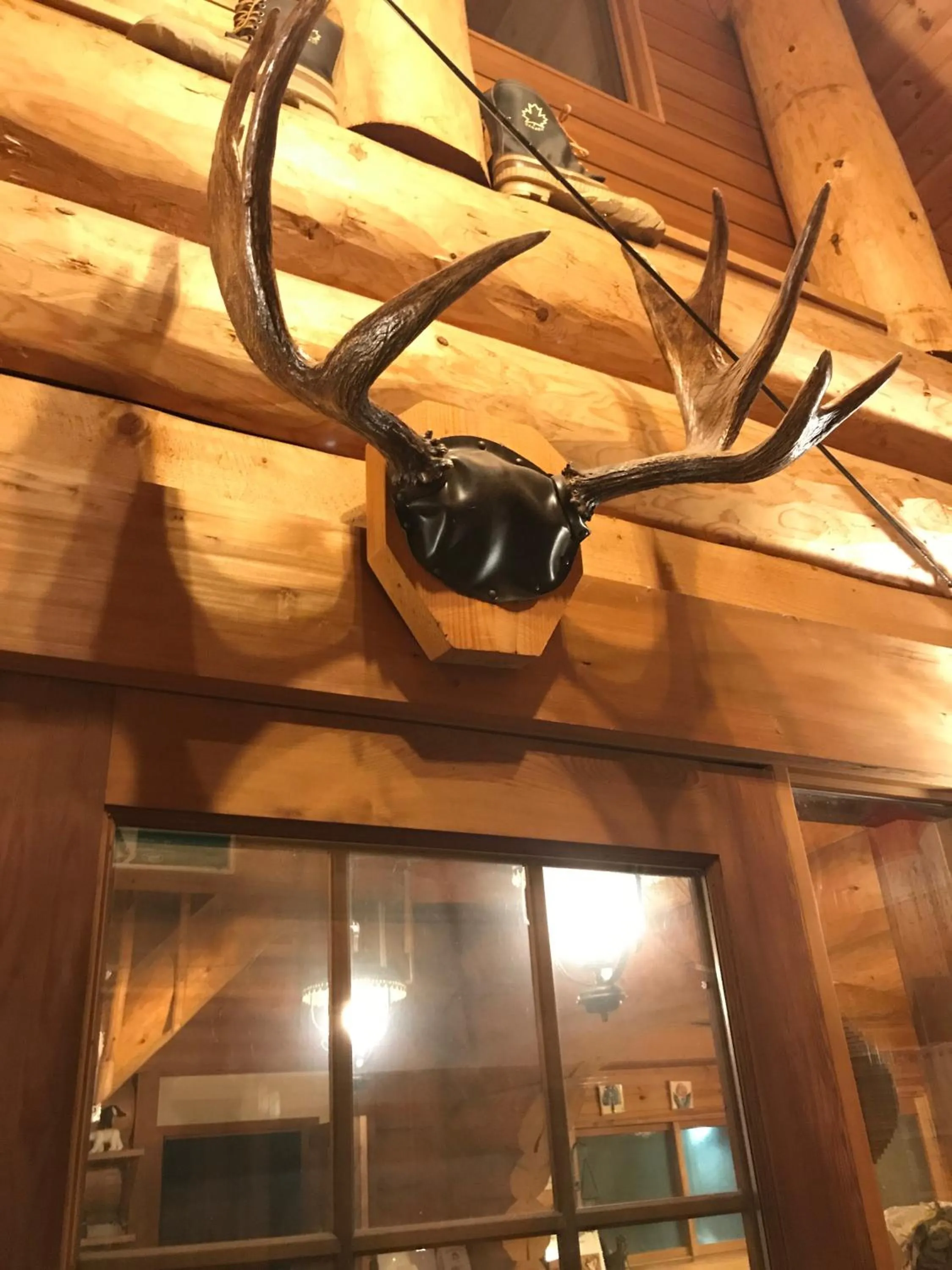 Facade/entrance in Canadian Loghouse Inn AzuminoYujin