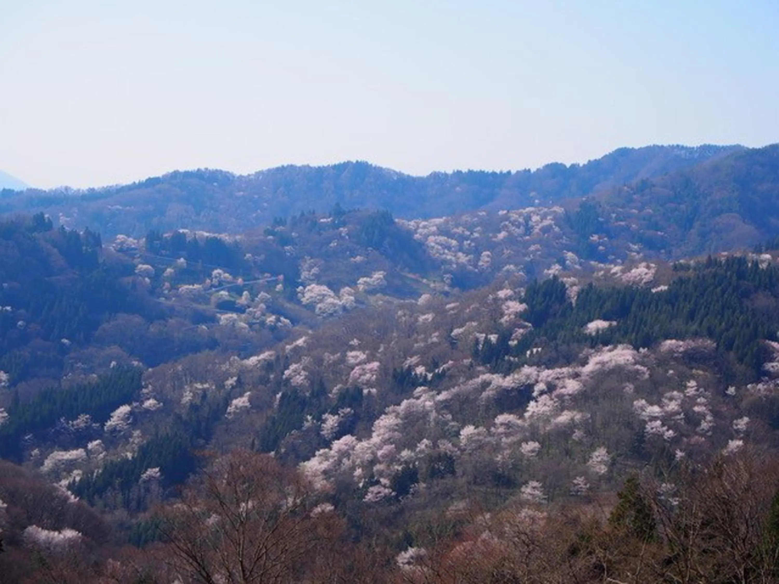 Off site in Canadian Loghouse Inn AzuminoYujin