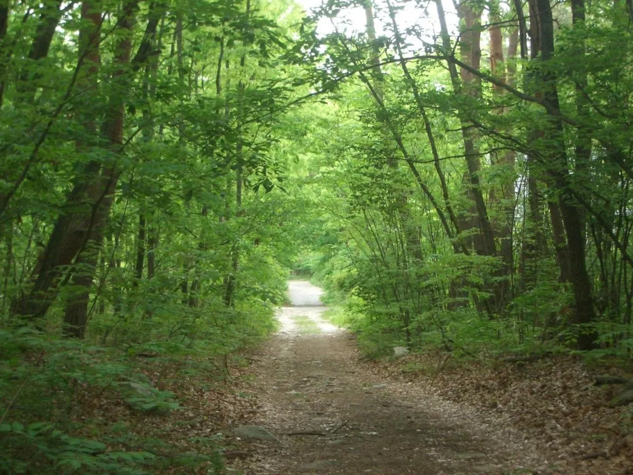 Off site in Canadian Loghouse Inn AzuminoYujin