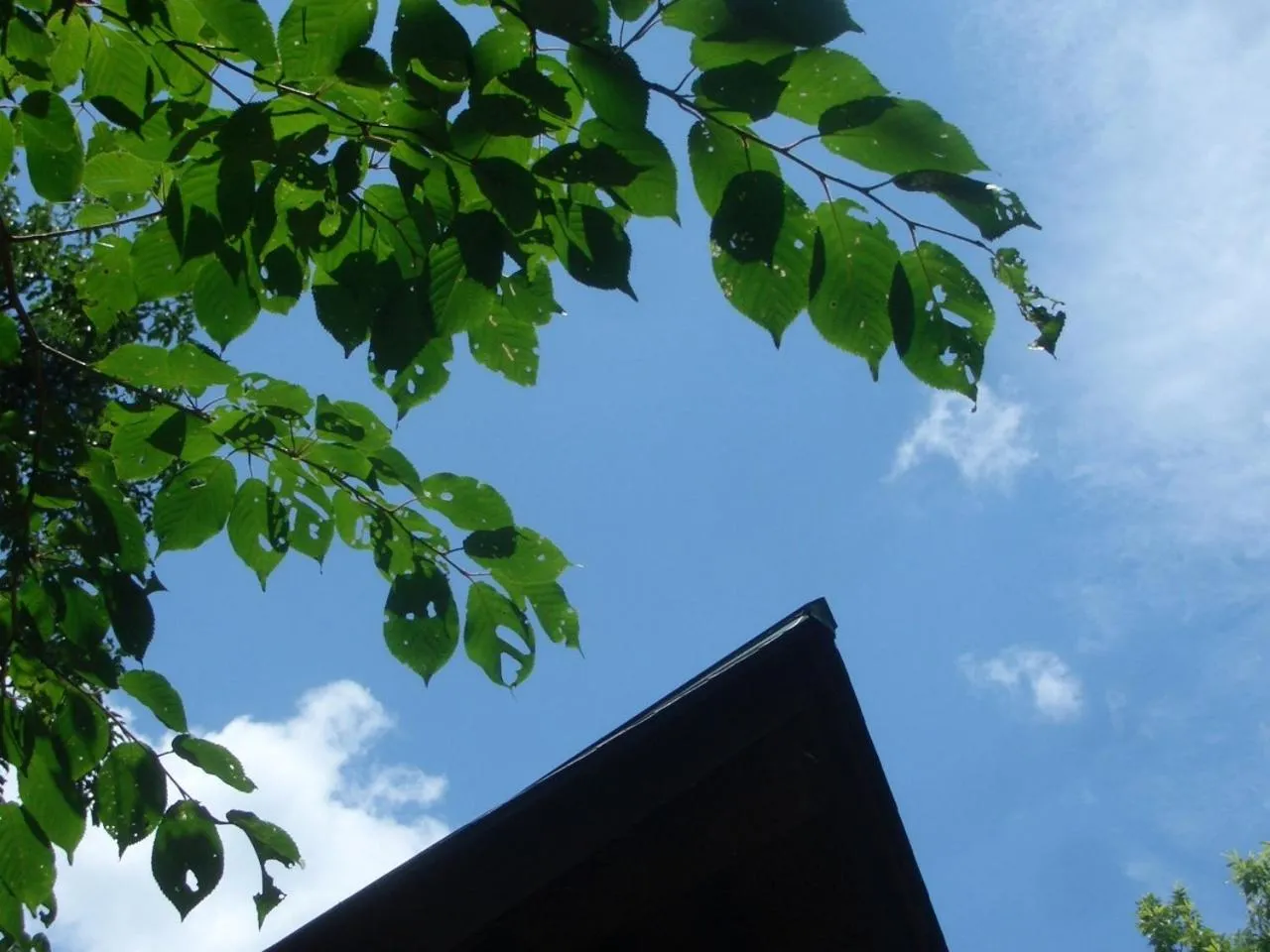 Property building in Canadian Loghouse Inn AzuminoYujin