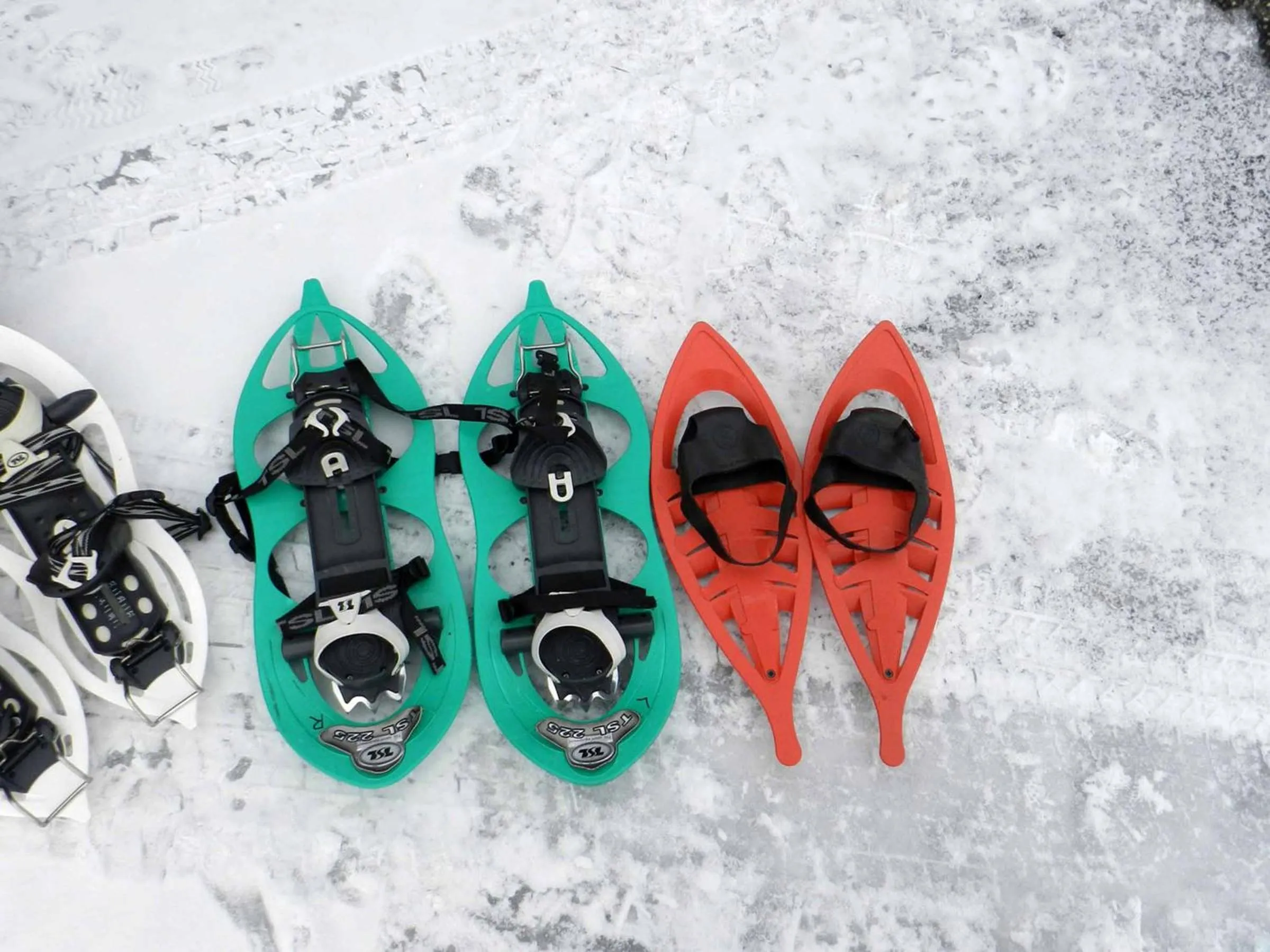 Sports in Canadian Loghouse Inn AzuminoYujin