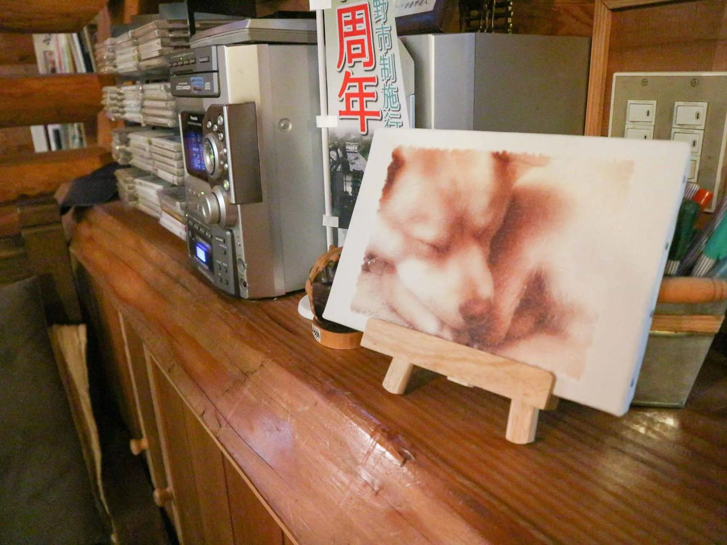 Communal lounge/ TV room in Canadian Loghouse Inn AzuminoYujin