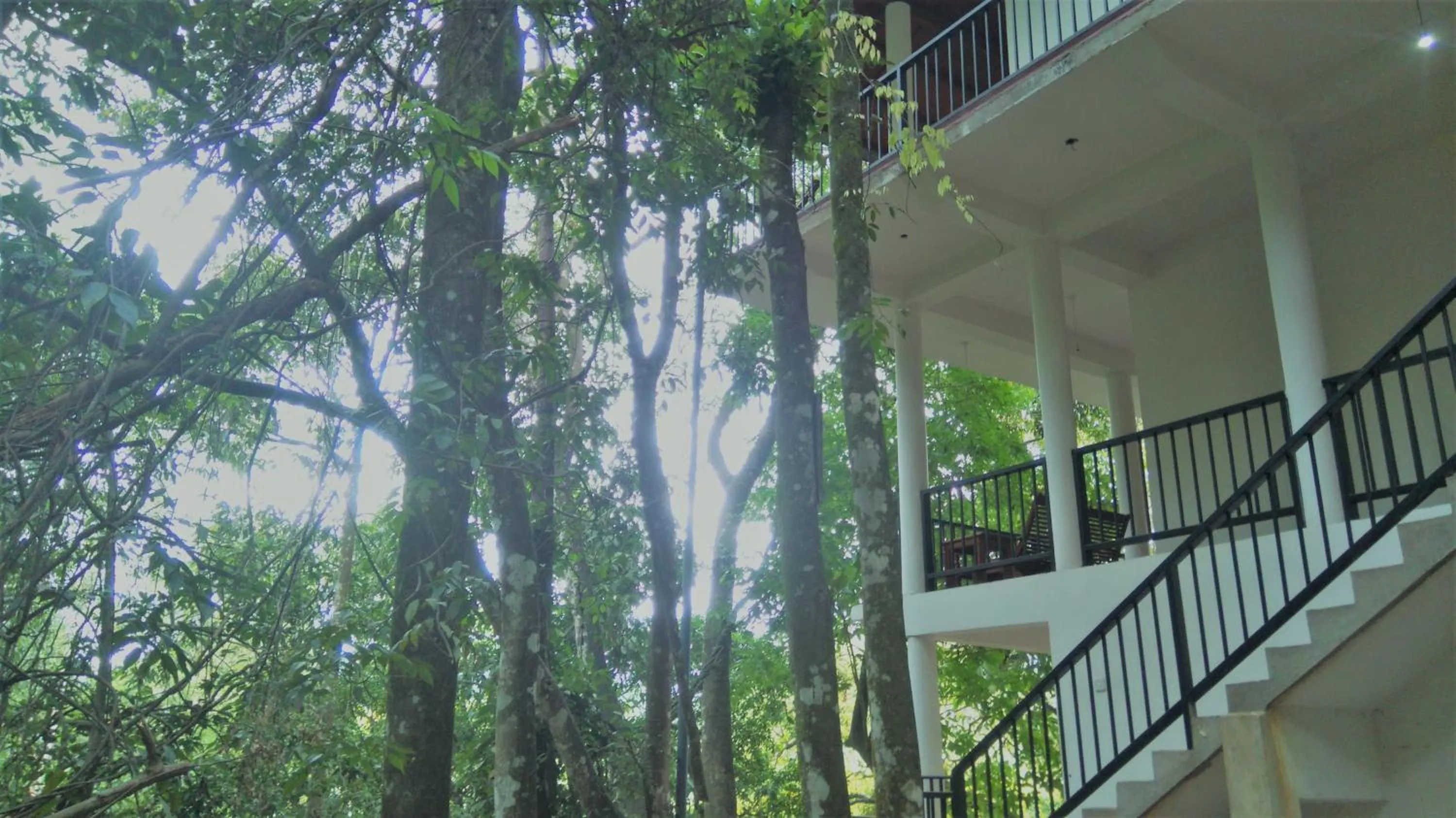 Samadhi Nature Resort