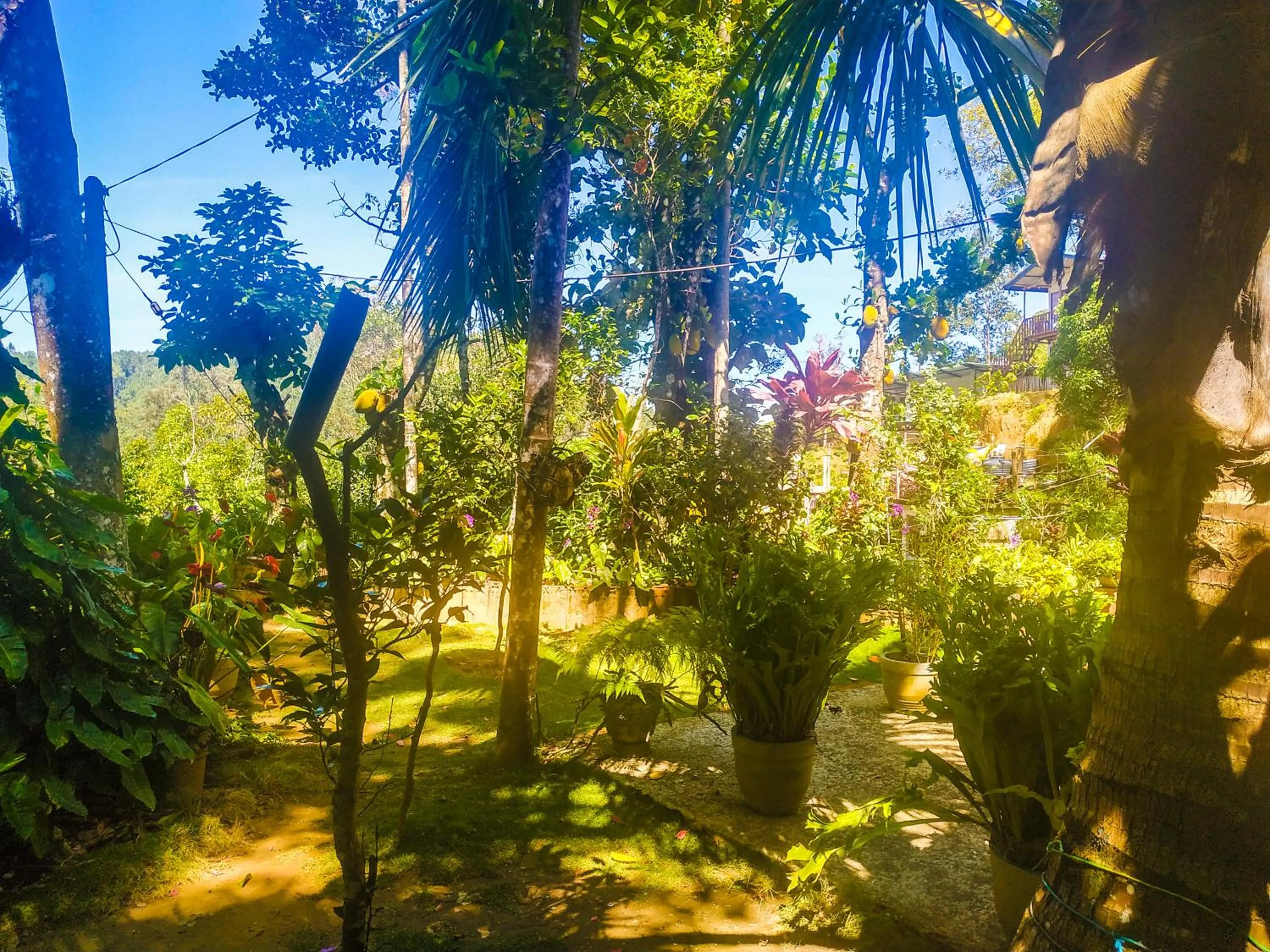 Samadhi Nature Resort