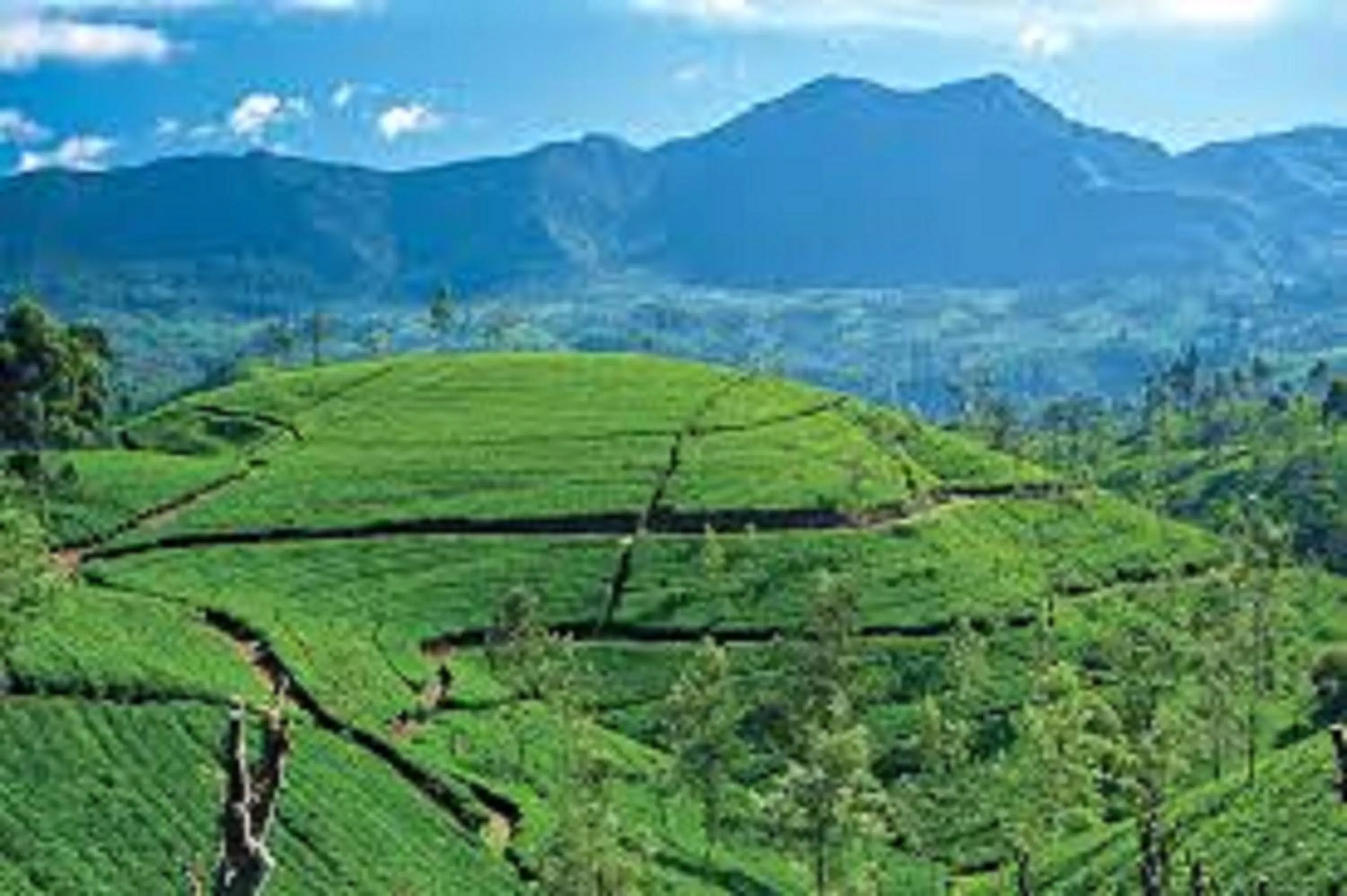 Property building in Samadhi Nature Resort