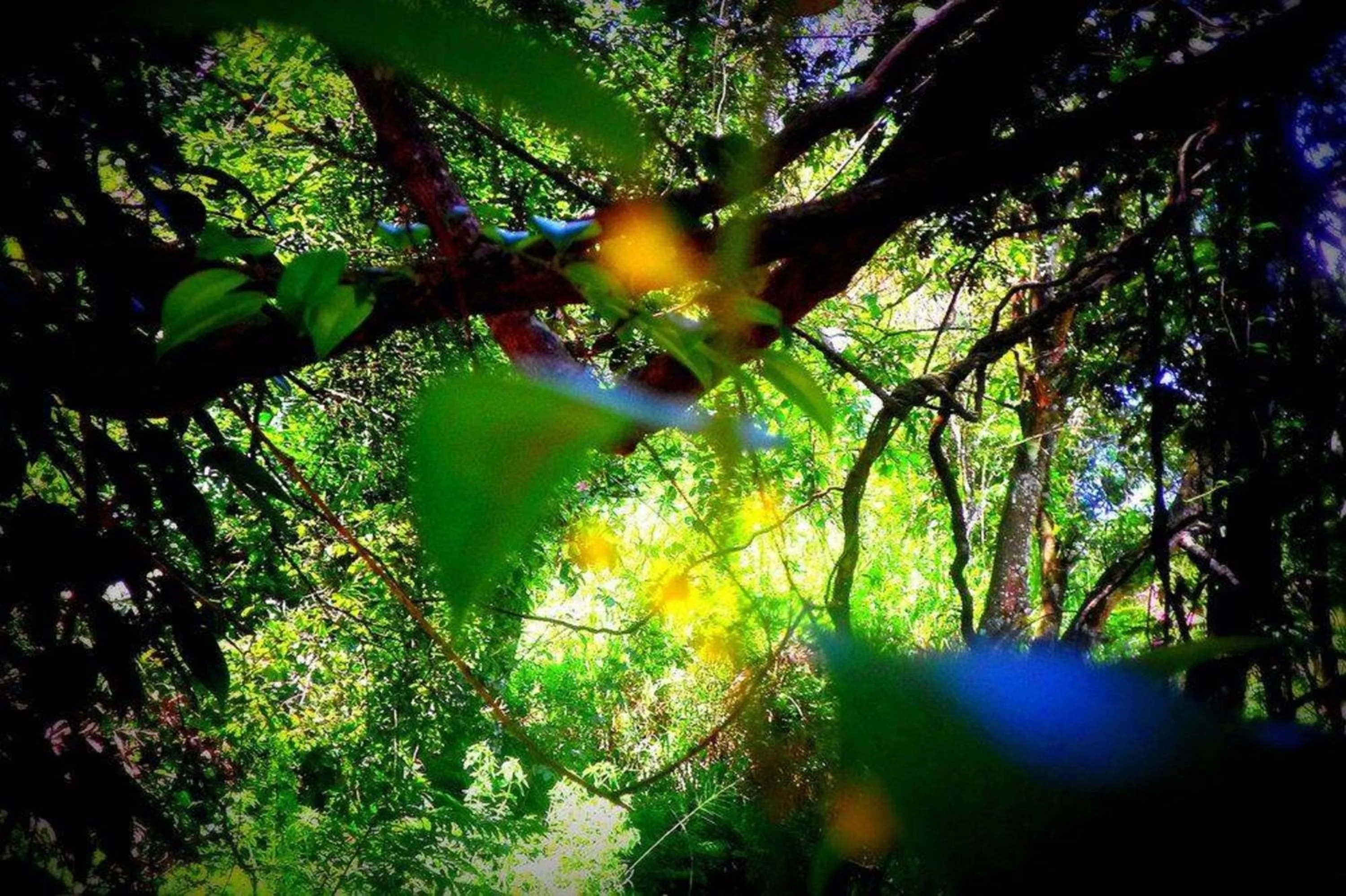 Property building in Samadhi Nature Resort