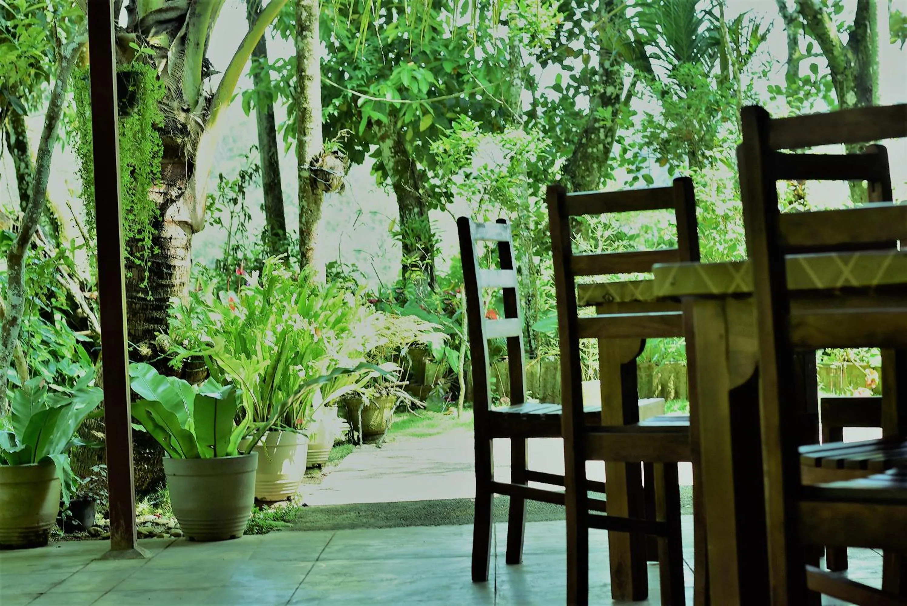 Samadhi Nature Resort