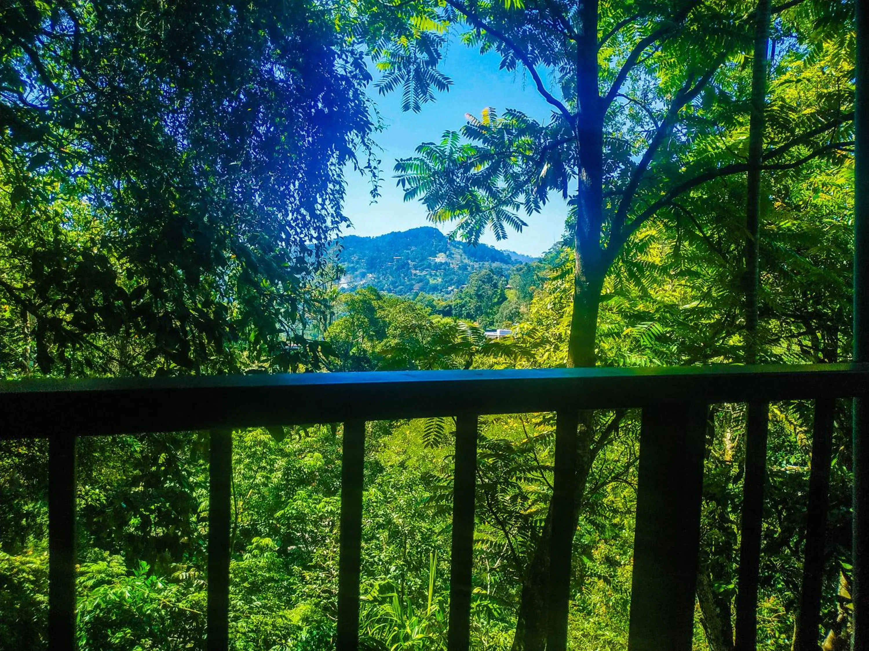 Samadhi Nature Resort