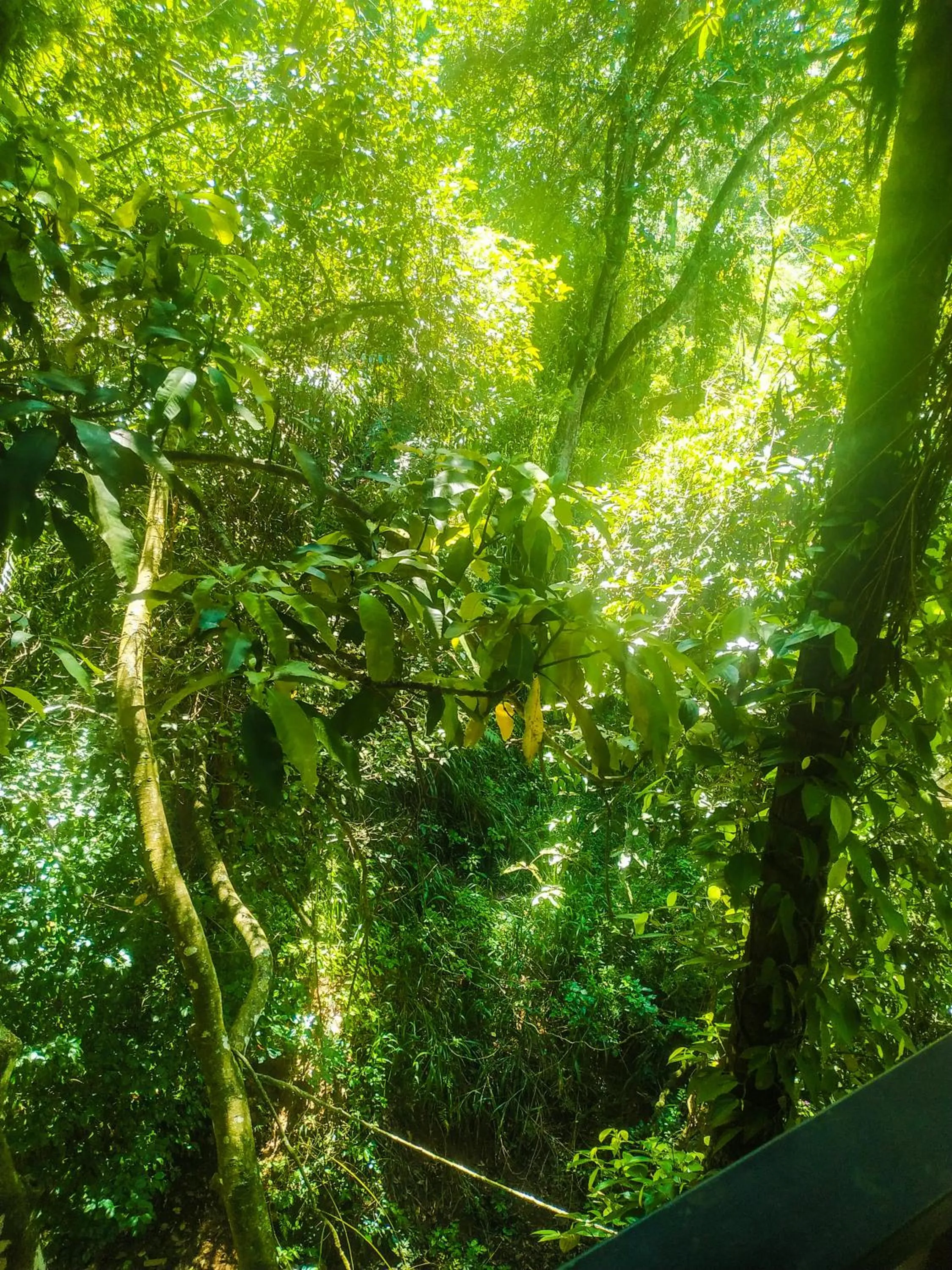 Samadhi Nature Resort