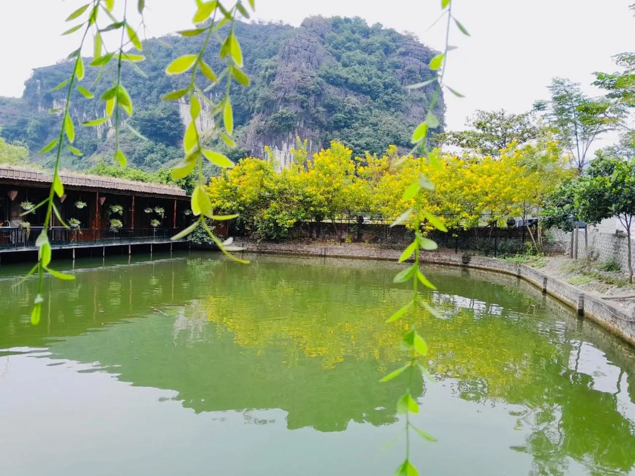 Lake view in Tam Coc Garden Homestay