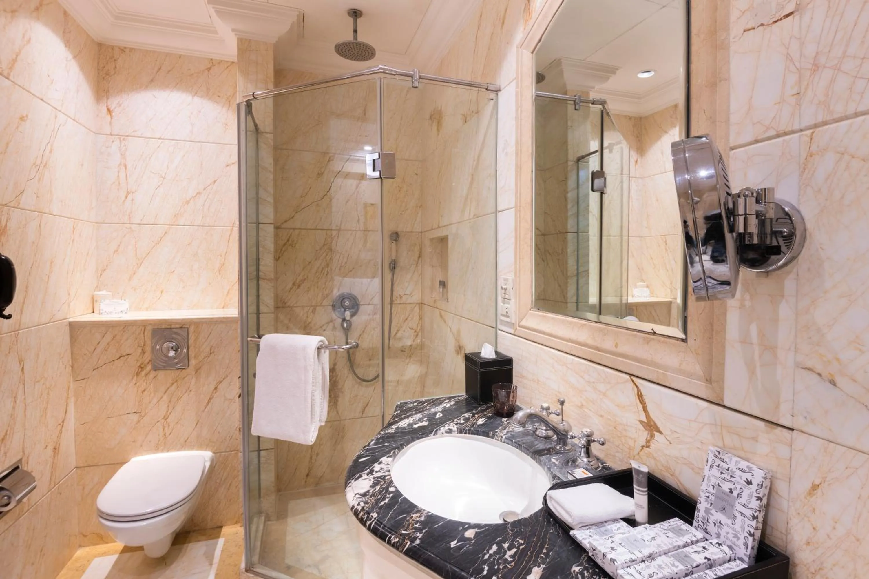 Shower in The Claridges New Delhi