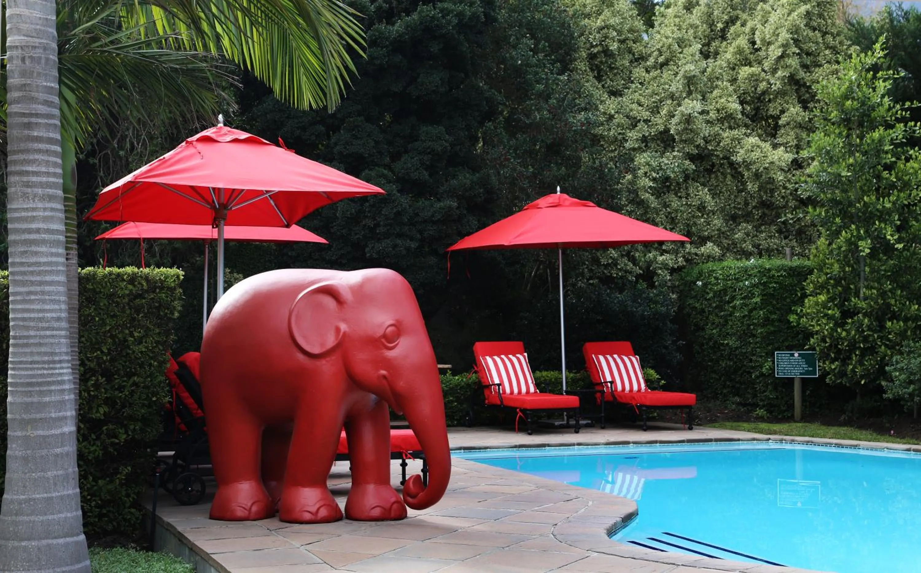 Swimming pool in Avondrood Guest House by The Oyster Collection