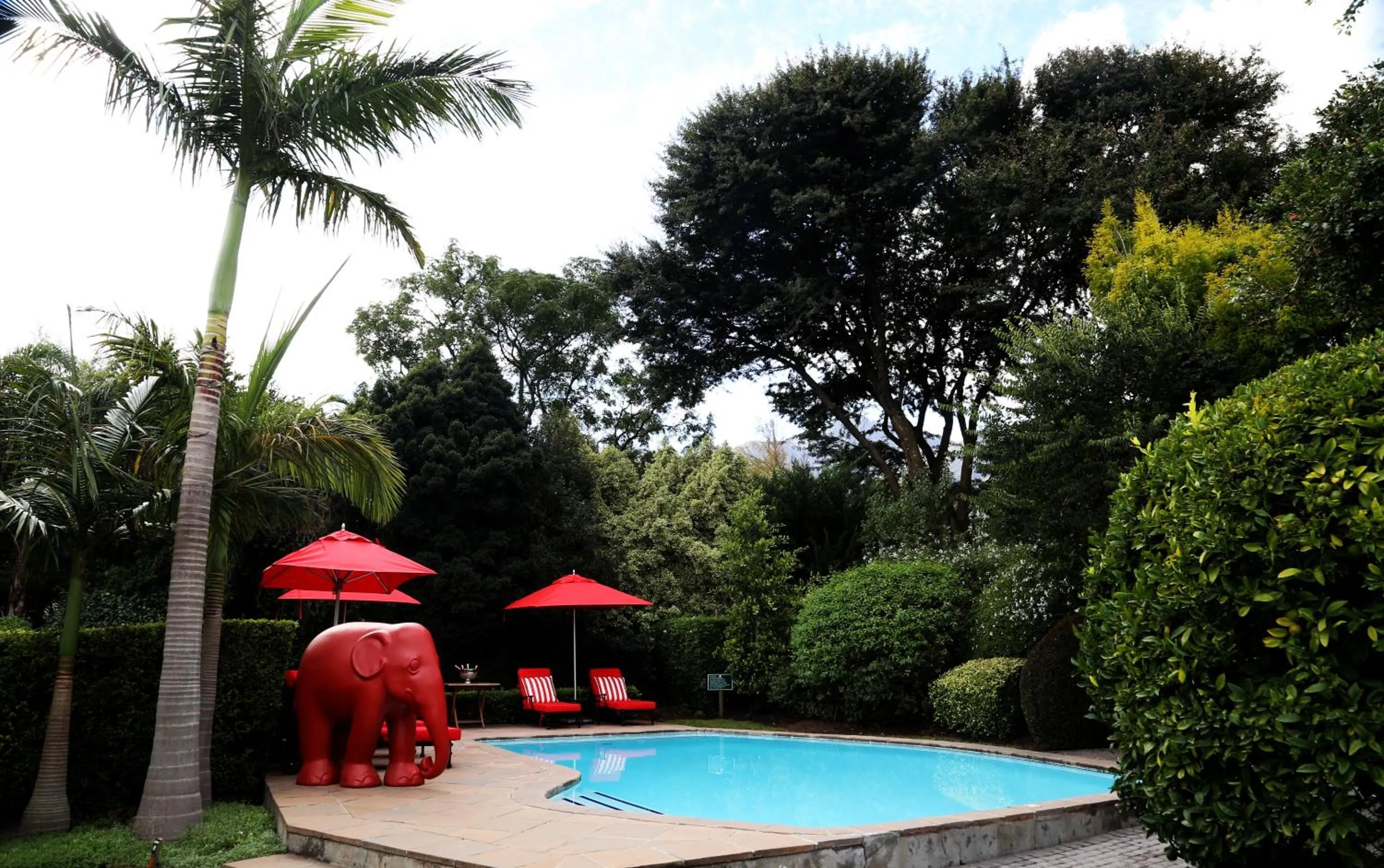 Garden in Avondrood Guest House by The Oyster Collection