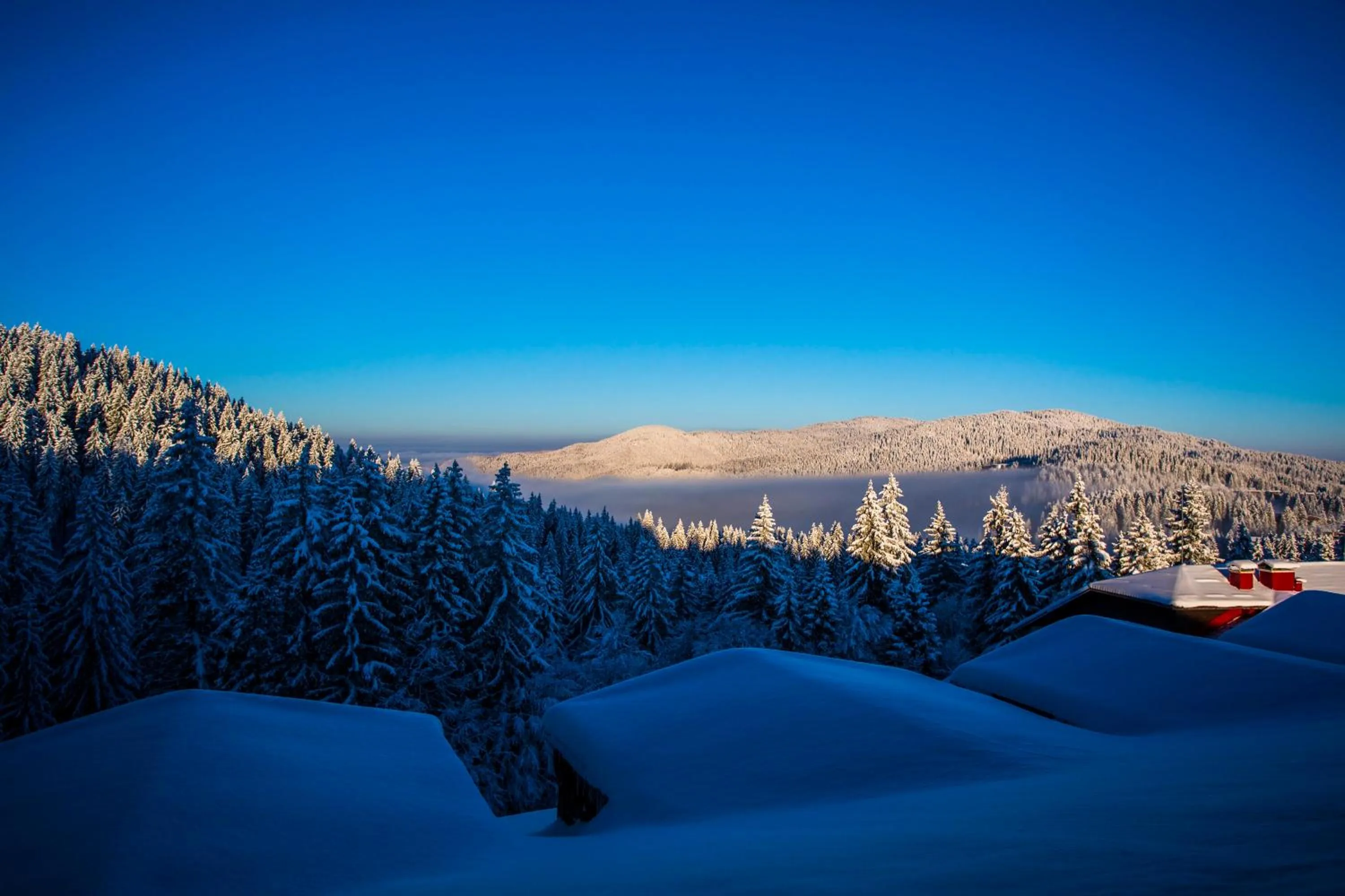 Sunny Hills Ski&Wellness