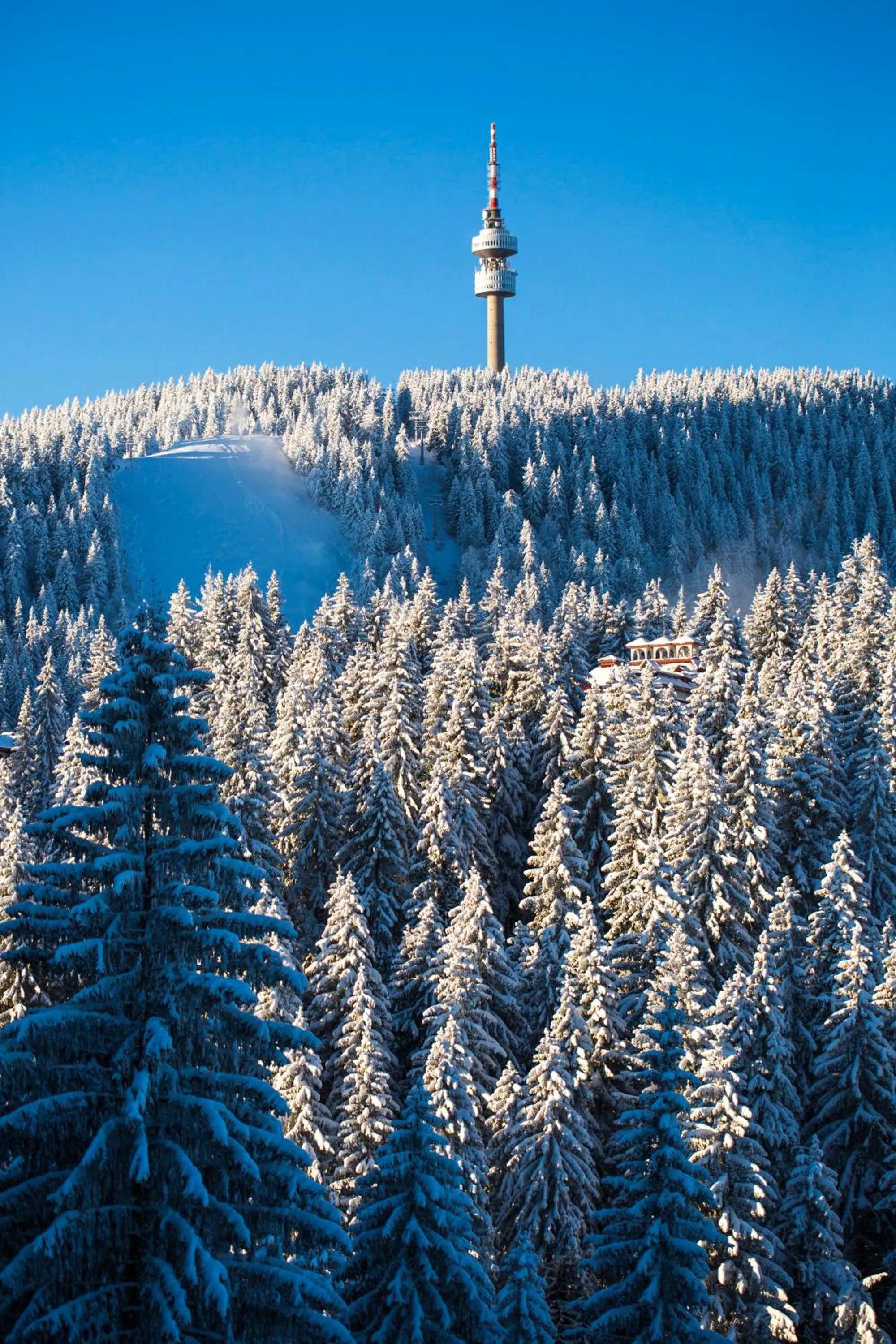 Sunny Hills Ski&Wellness