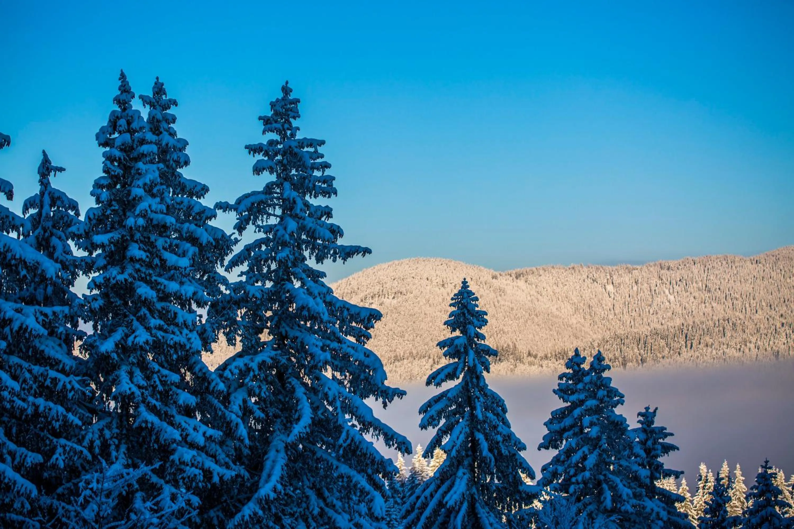 Sunny Hills Ski&Wellness