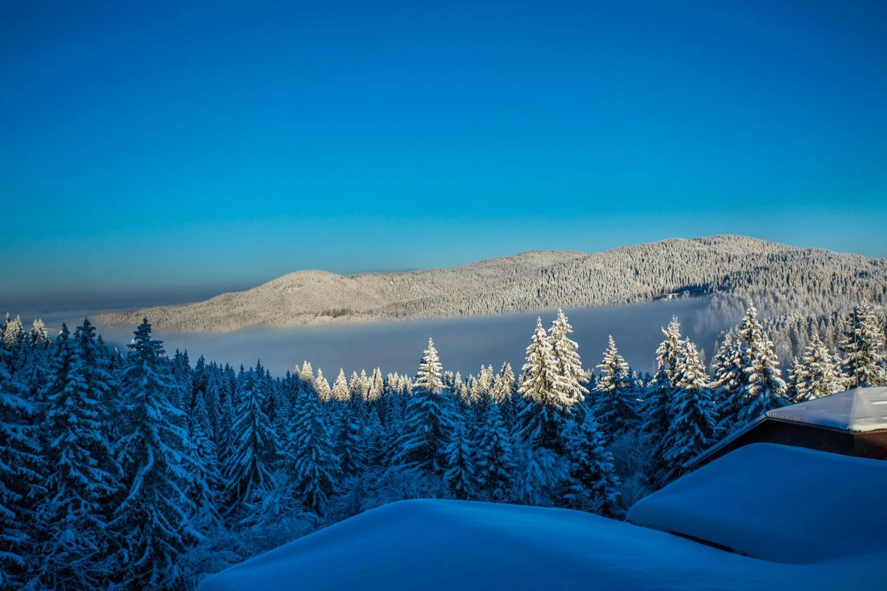 Sunny Hills Ski&Wellness