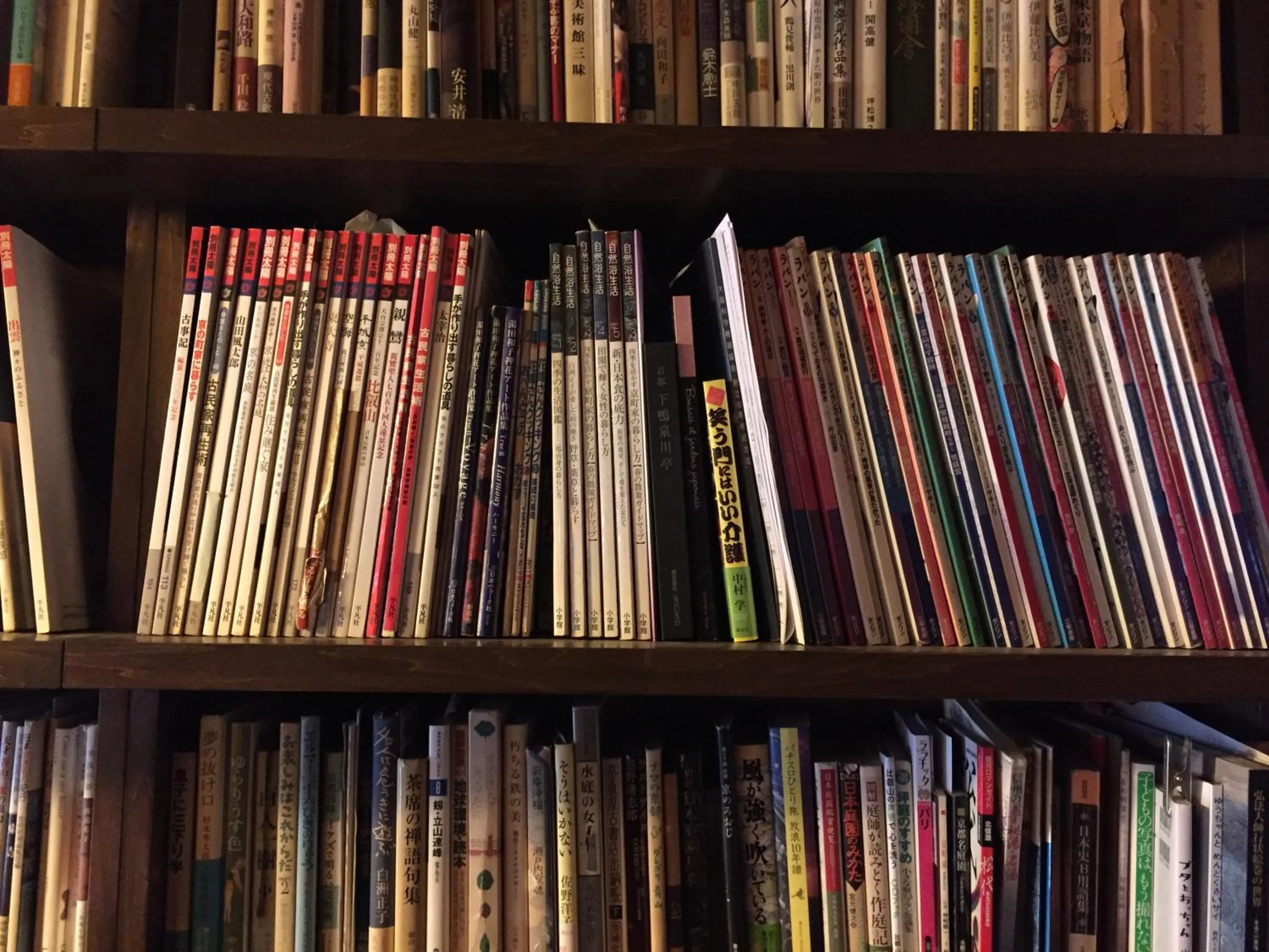 Library in Gallery Nozawa Inn