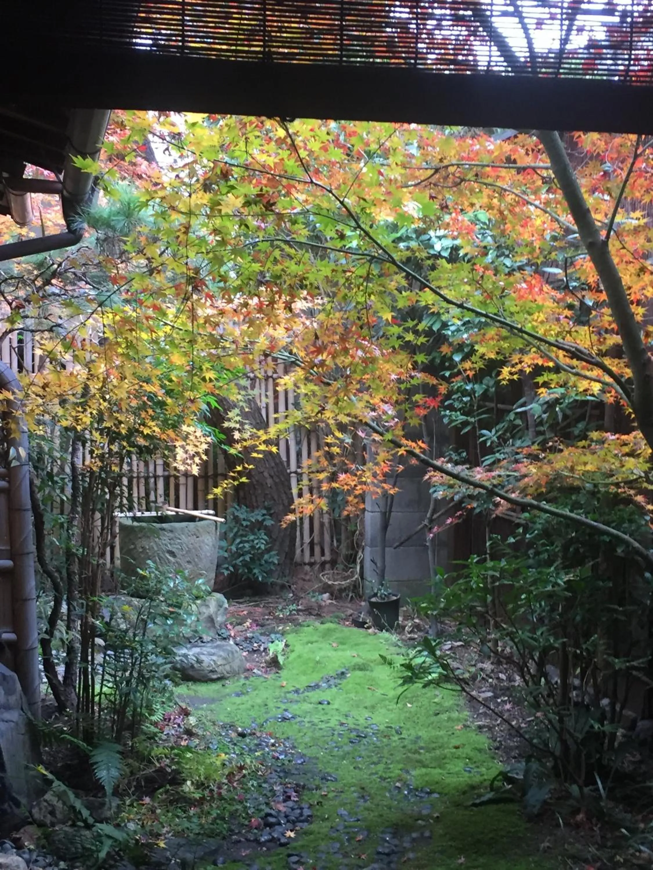 Garden in Gallery Nozawa Inn