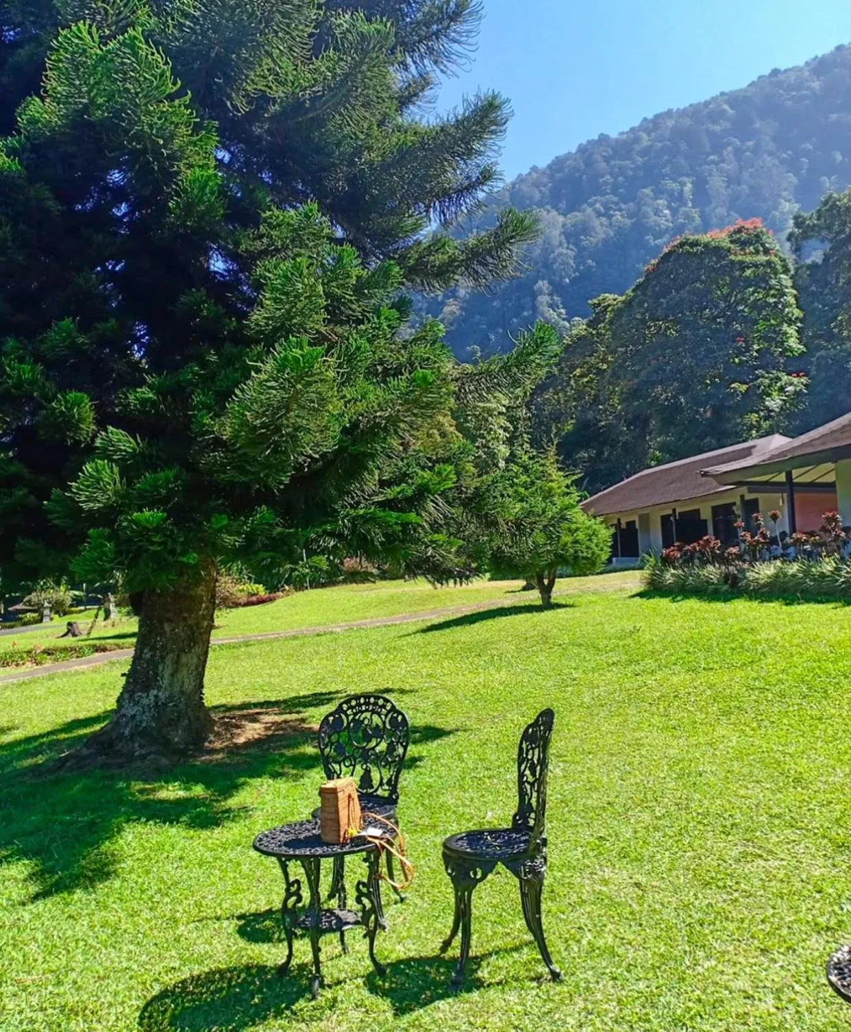 Natural landscape in Handara Golf & Resort Bali