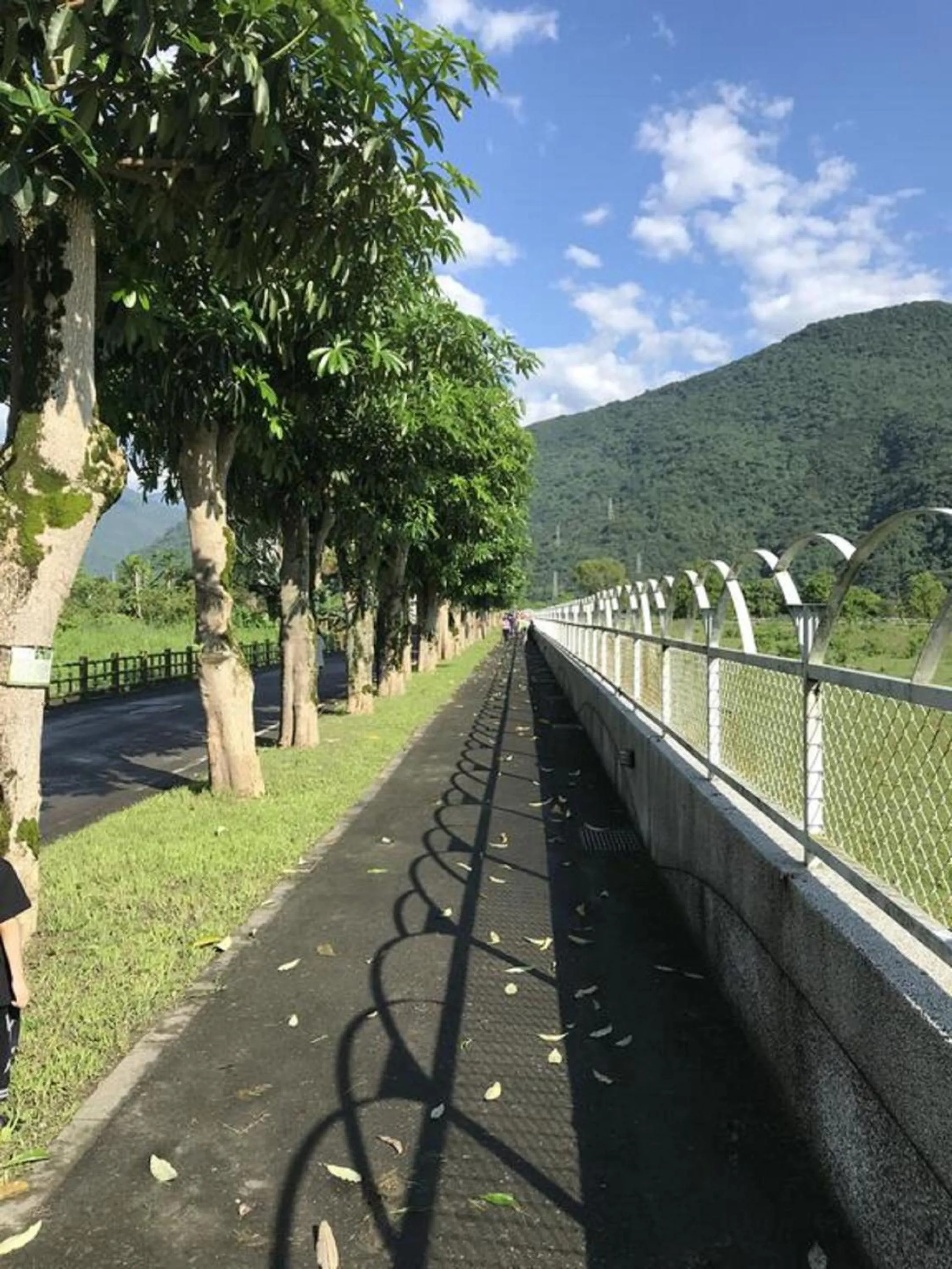 Natural landscape in Kanazawa House