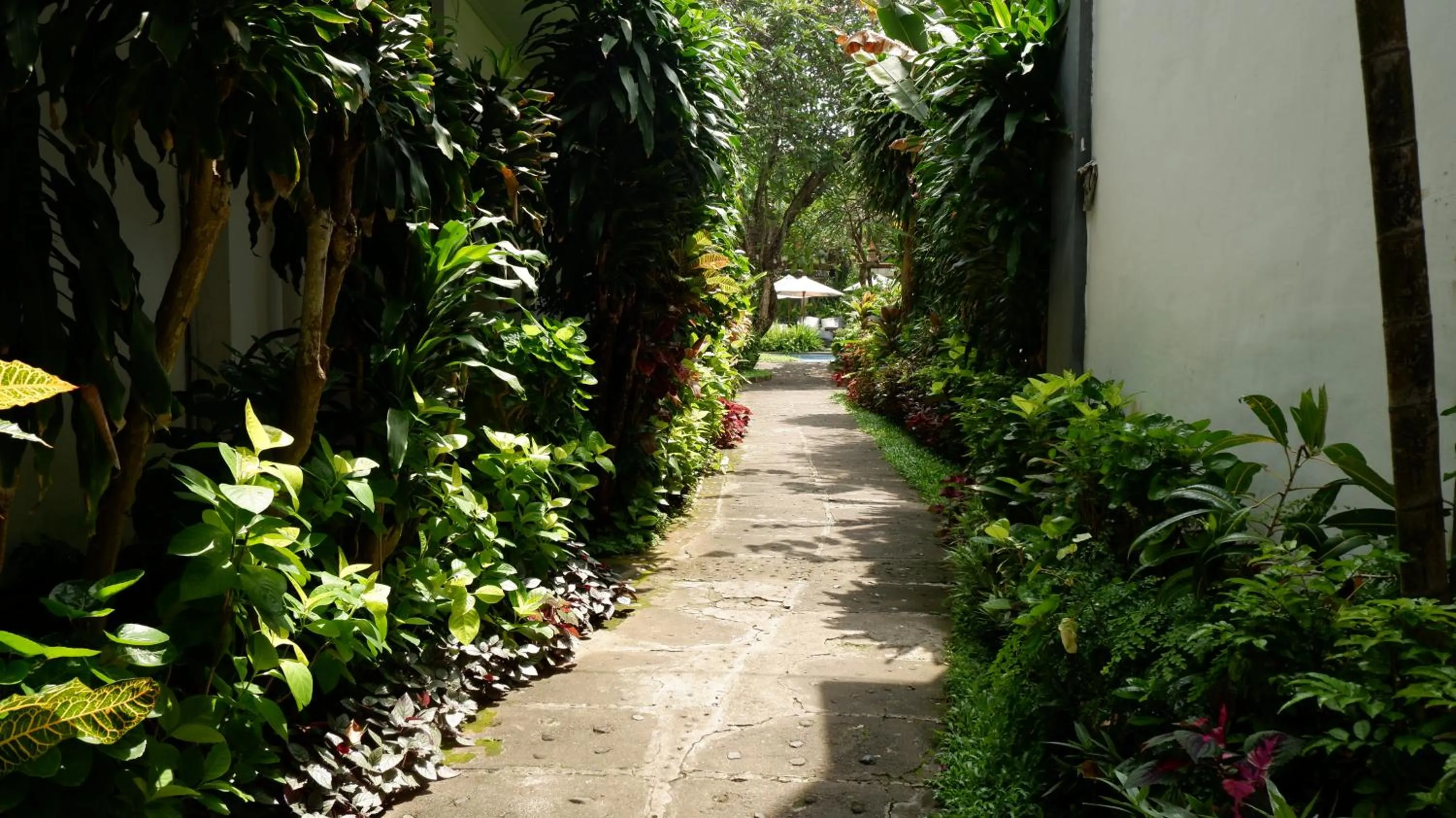 Day in Swastika Bungalows