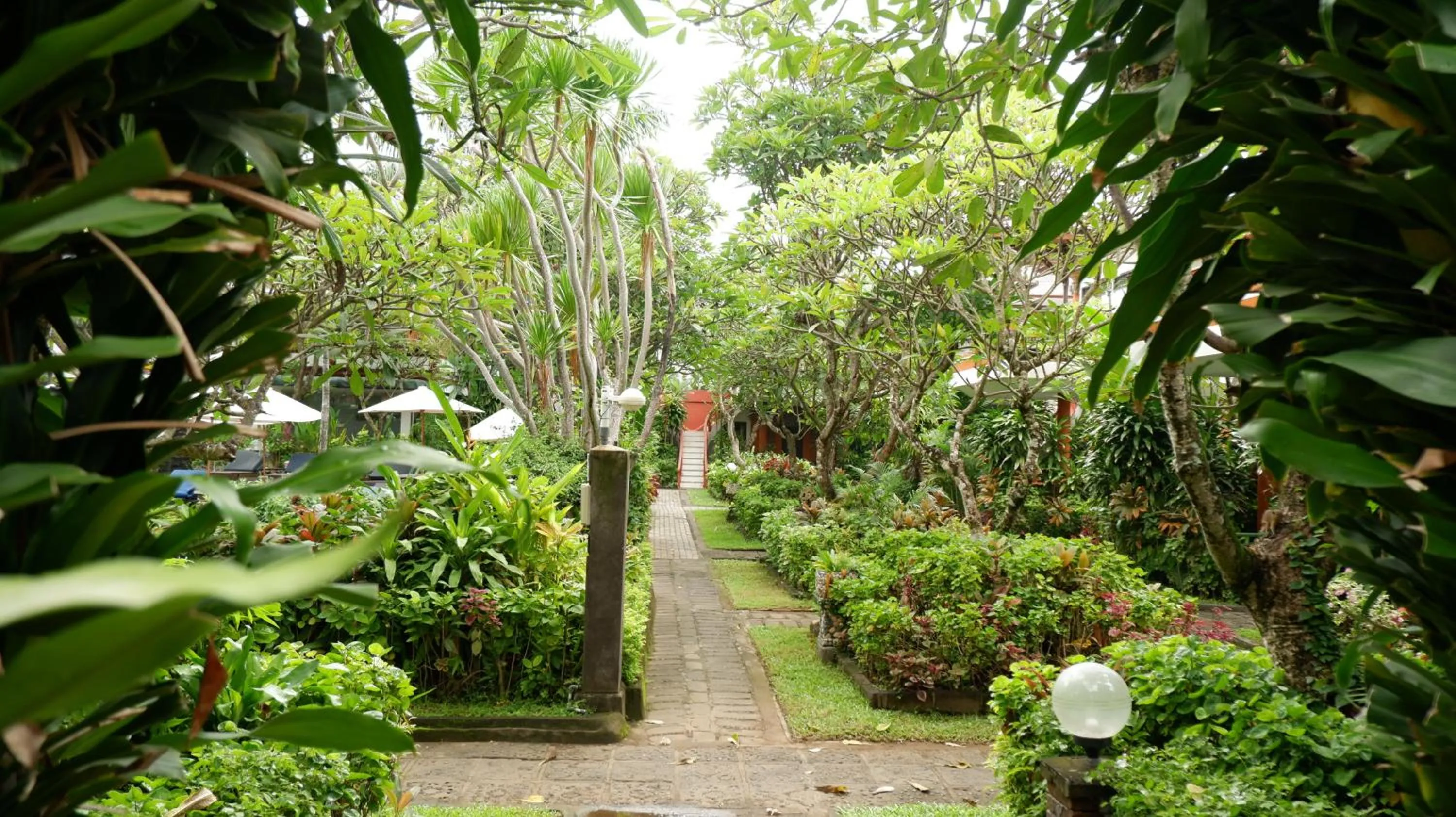 Natural landscape in Swastika Bungalows