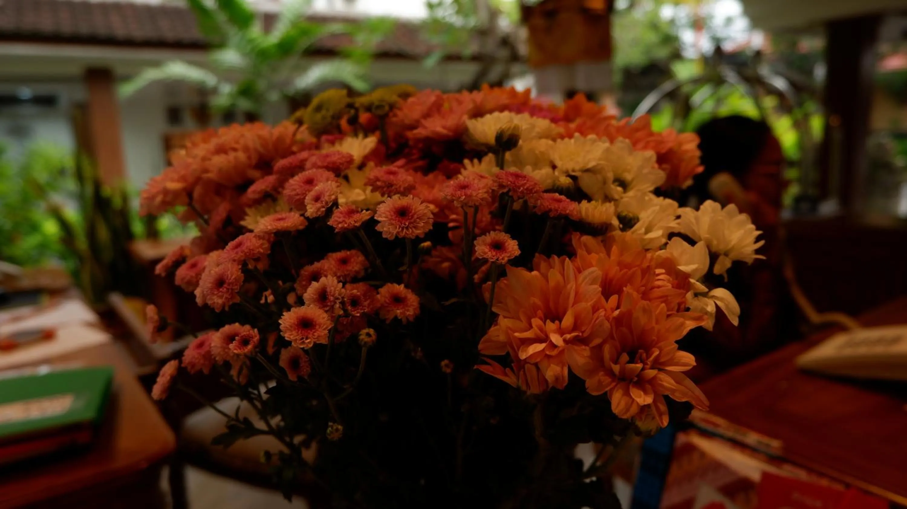 Garden view in Swastika Bungalows