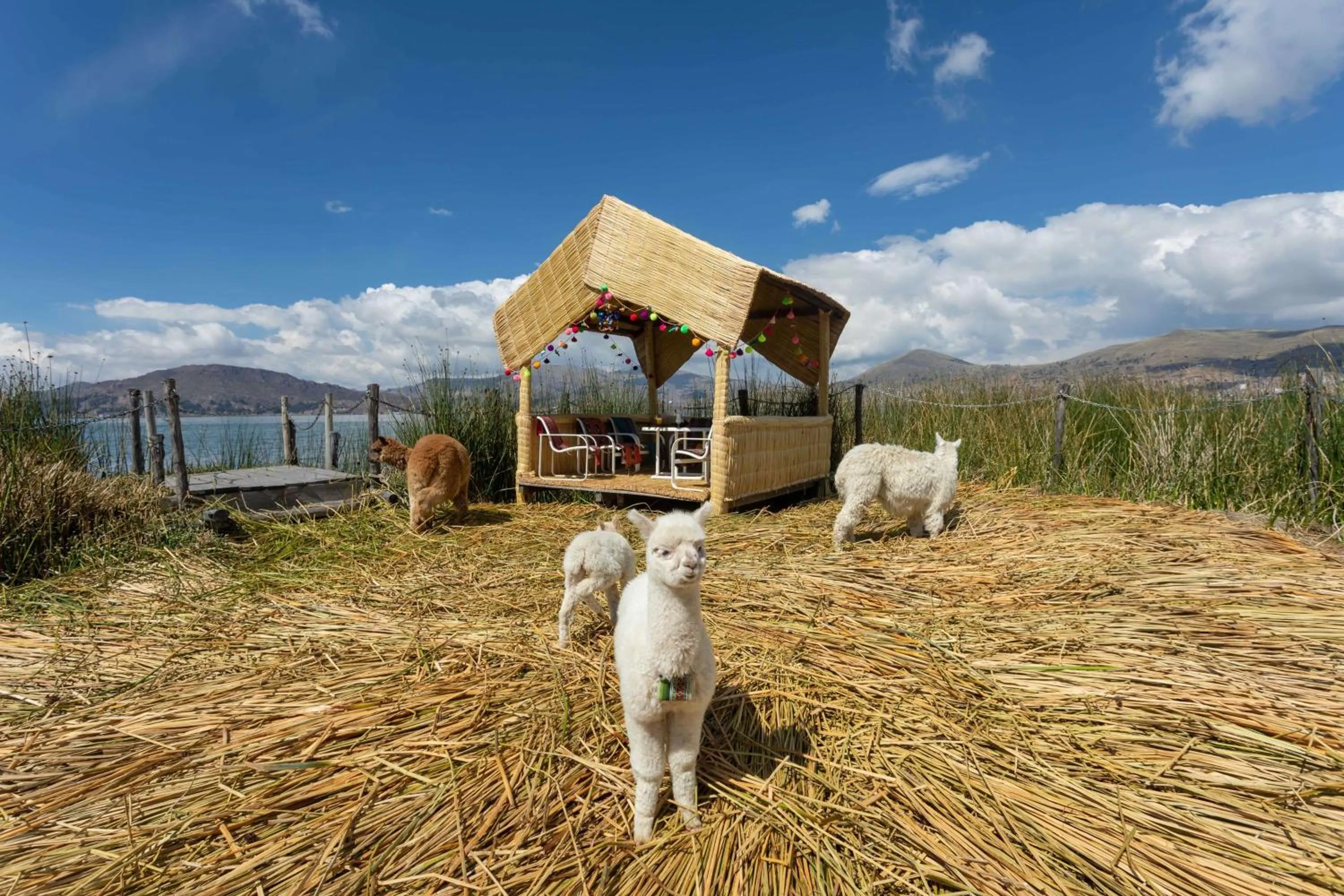 Off site in Sonesta Posadas del Inca Puno