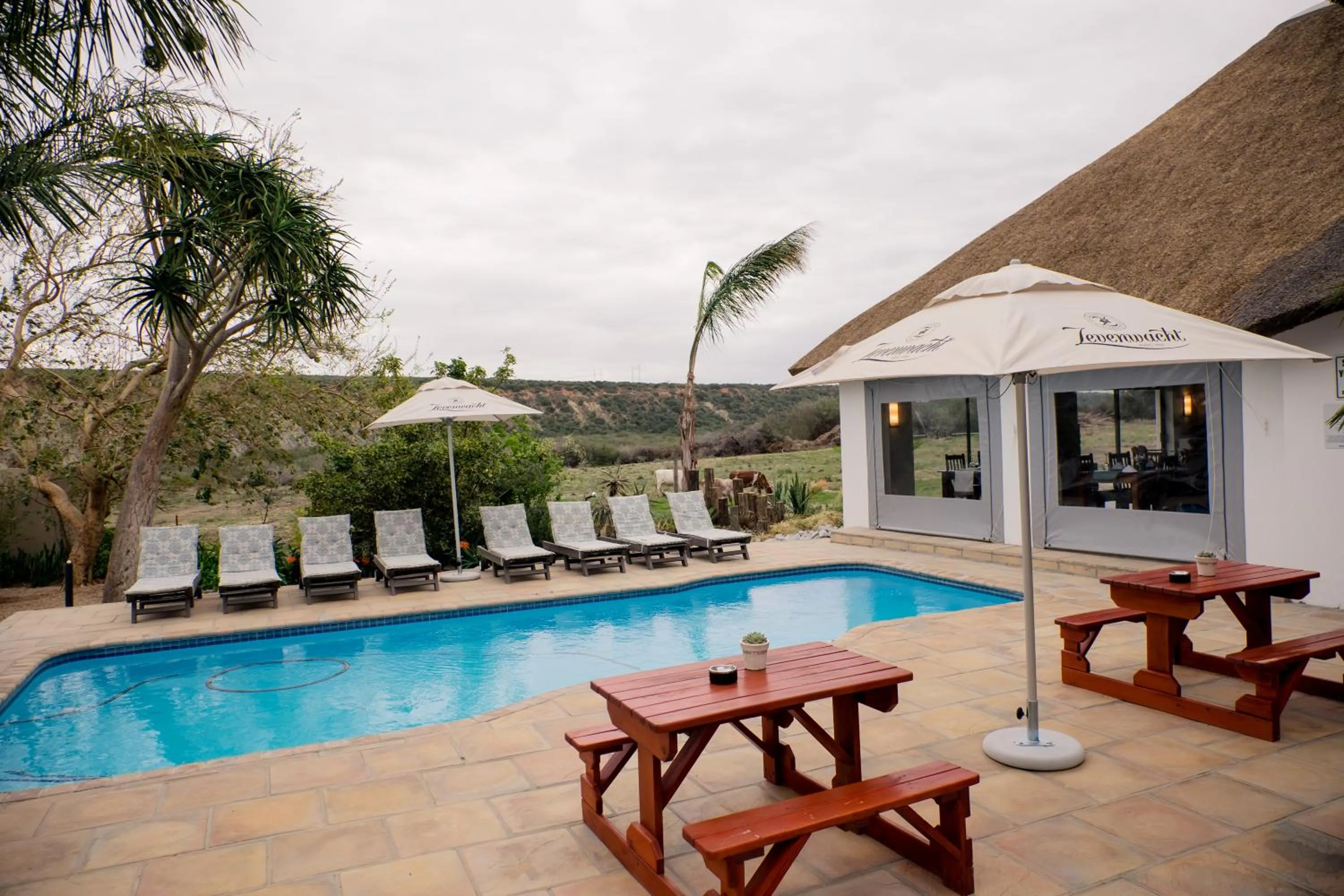 Other in De Old Drift Guest Farm