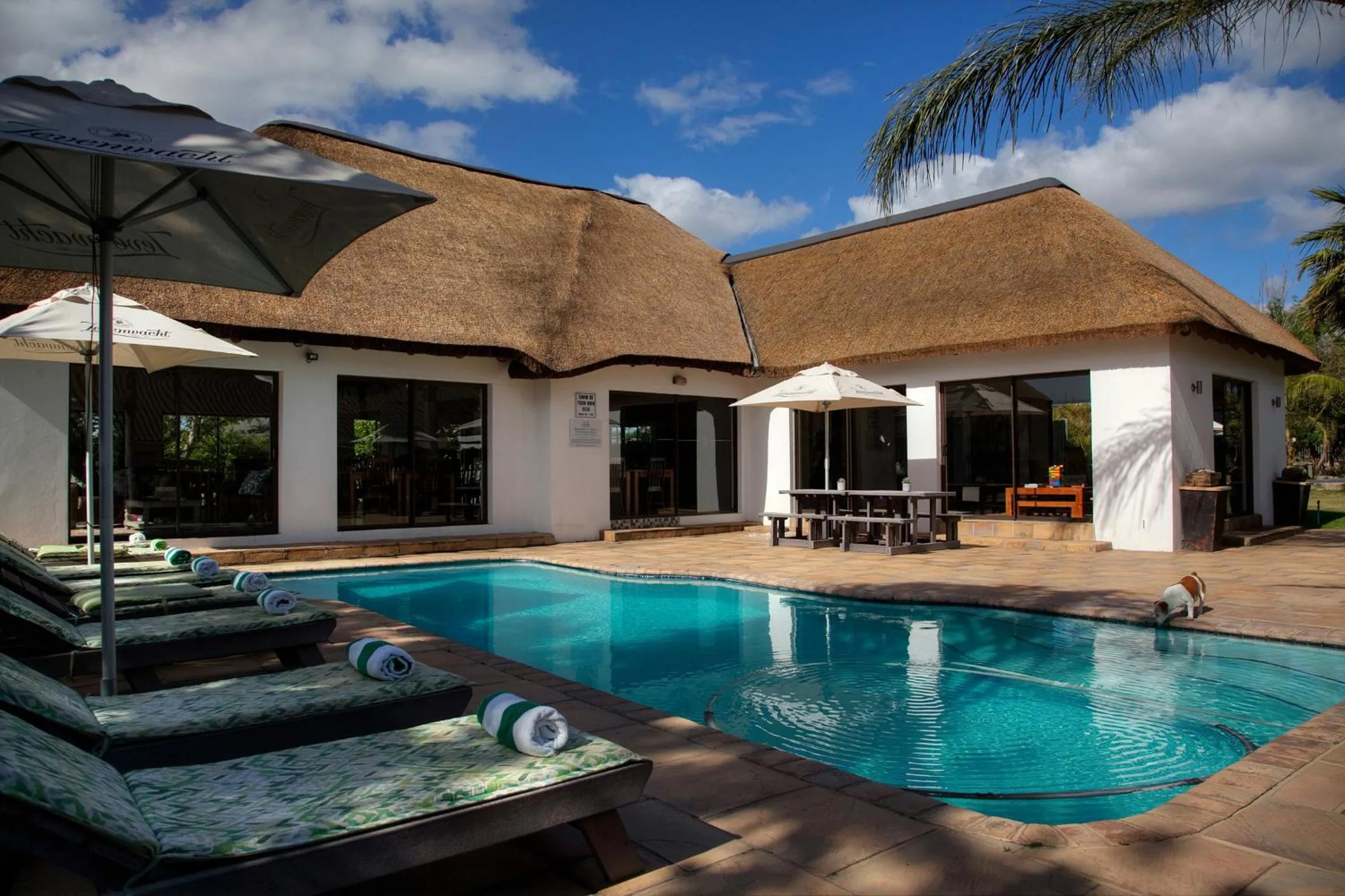 Swimming pool in De Old Drift Guest Farm