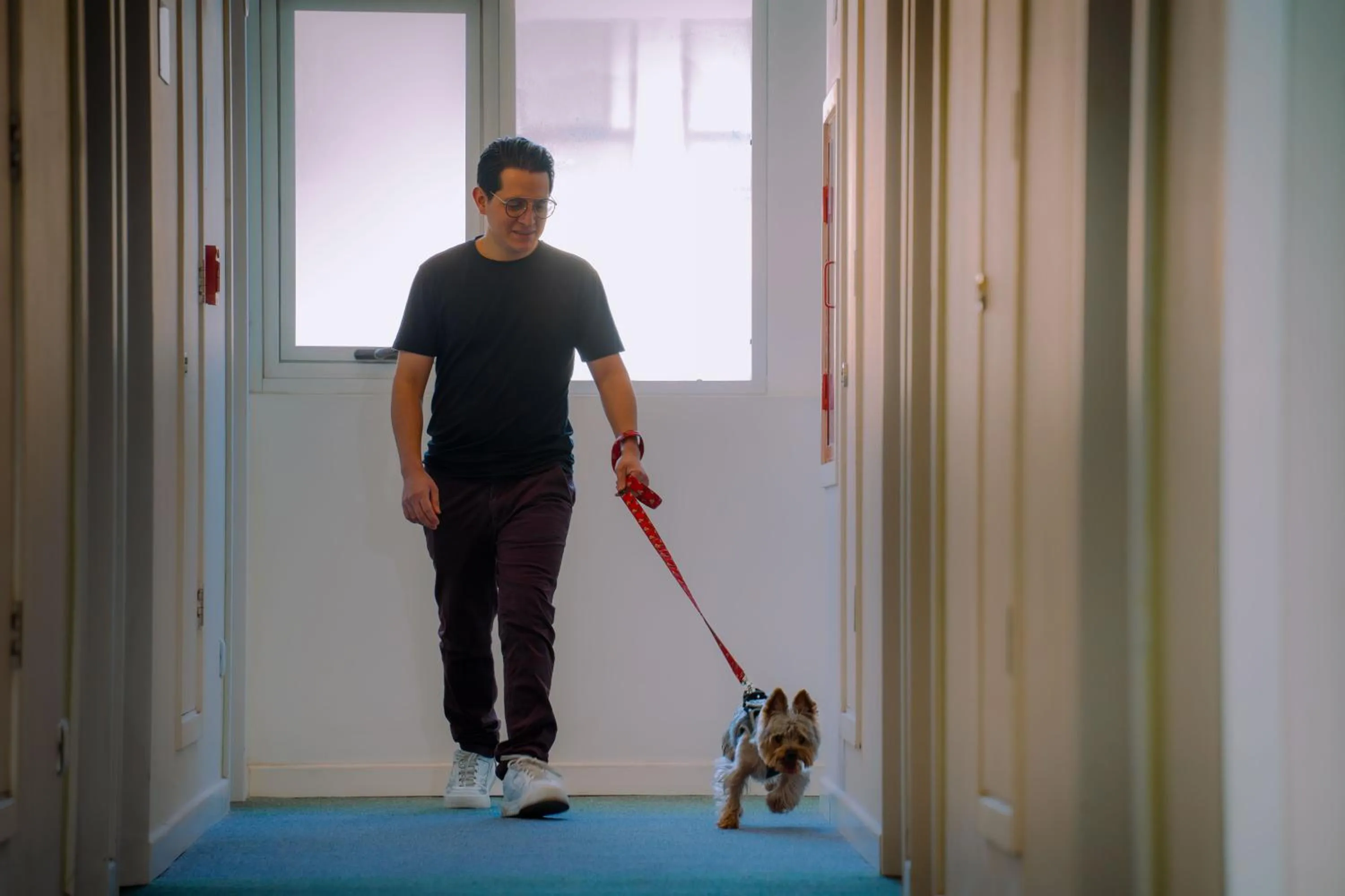 Pets in ibis budget Copiapo