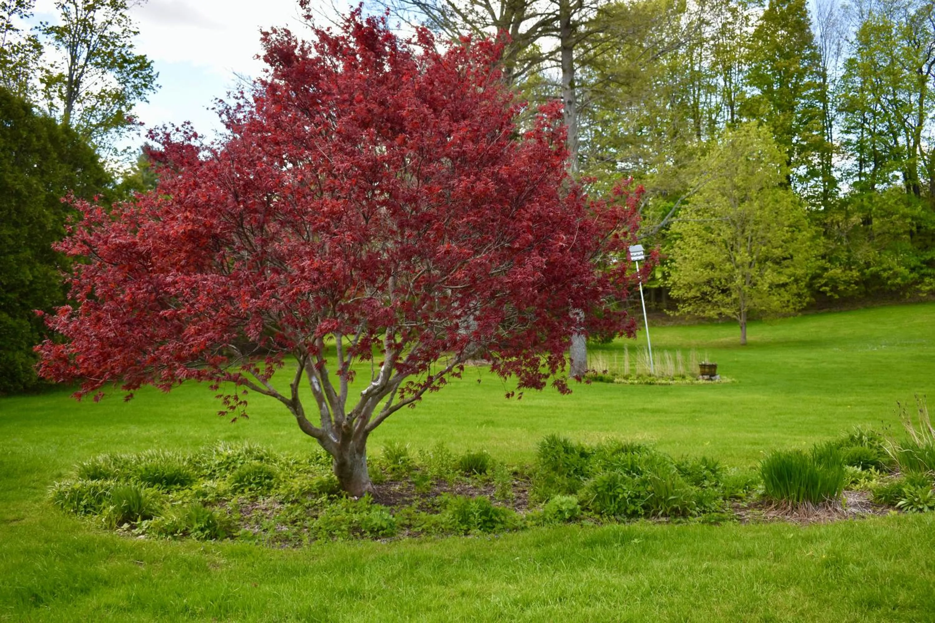 Harbour House Inn B&B