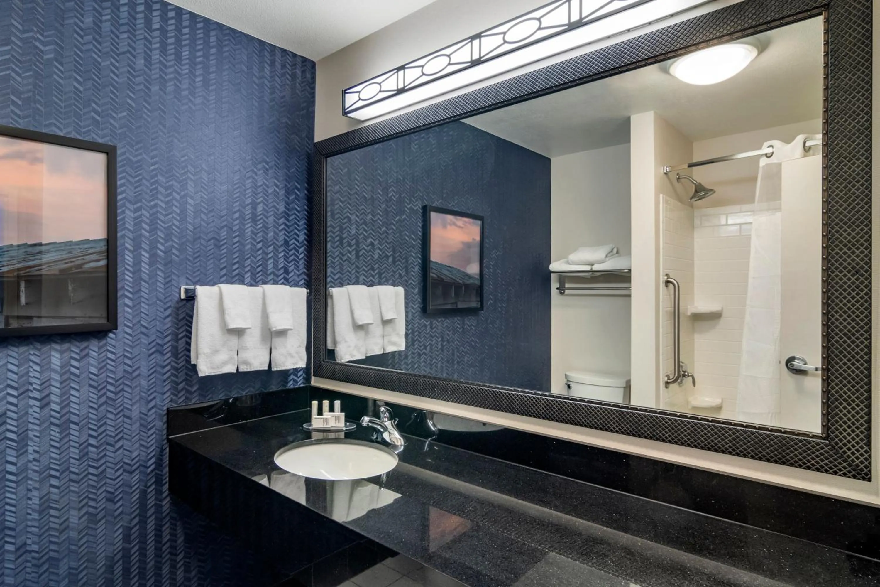 Bathroom in Fairfield Inn & Suites by Marriott Commerce