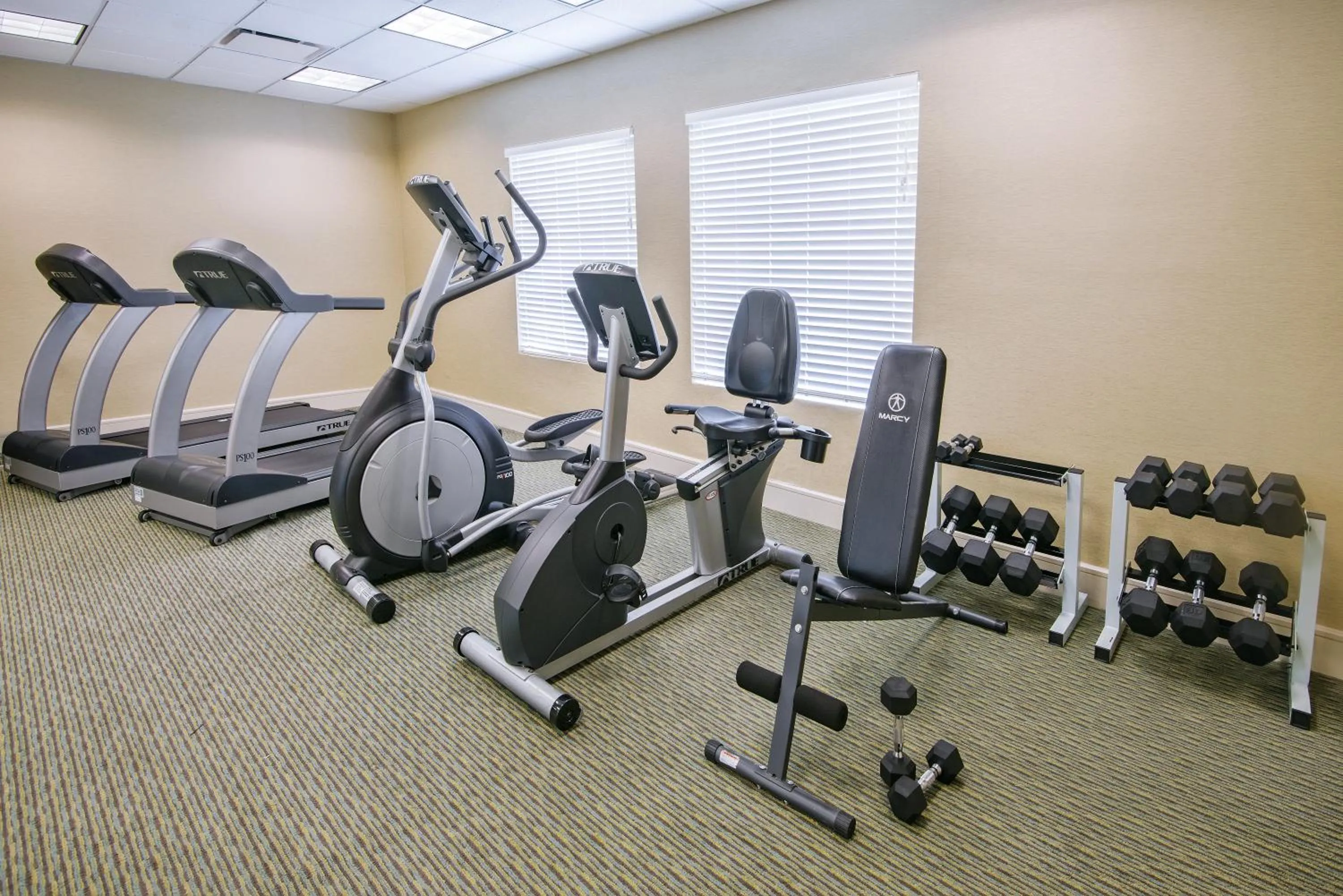 Fitness centre/facilities in Holiday Inn Hotel Dallas DFW Airport West, an IHG Hotel