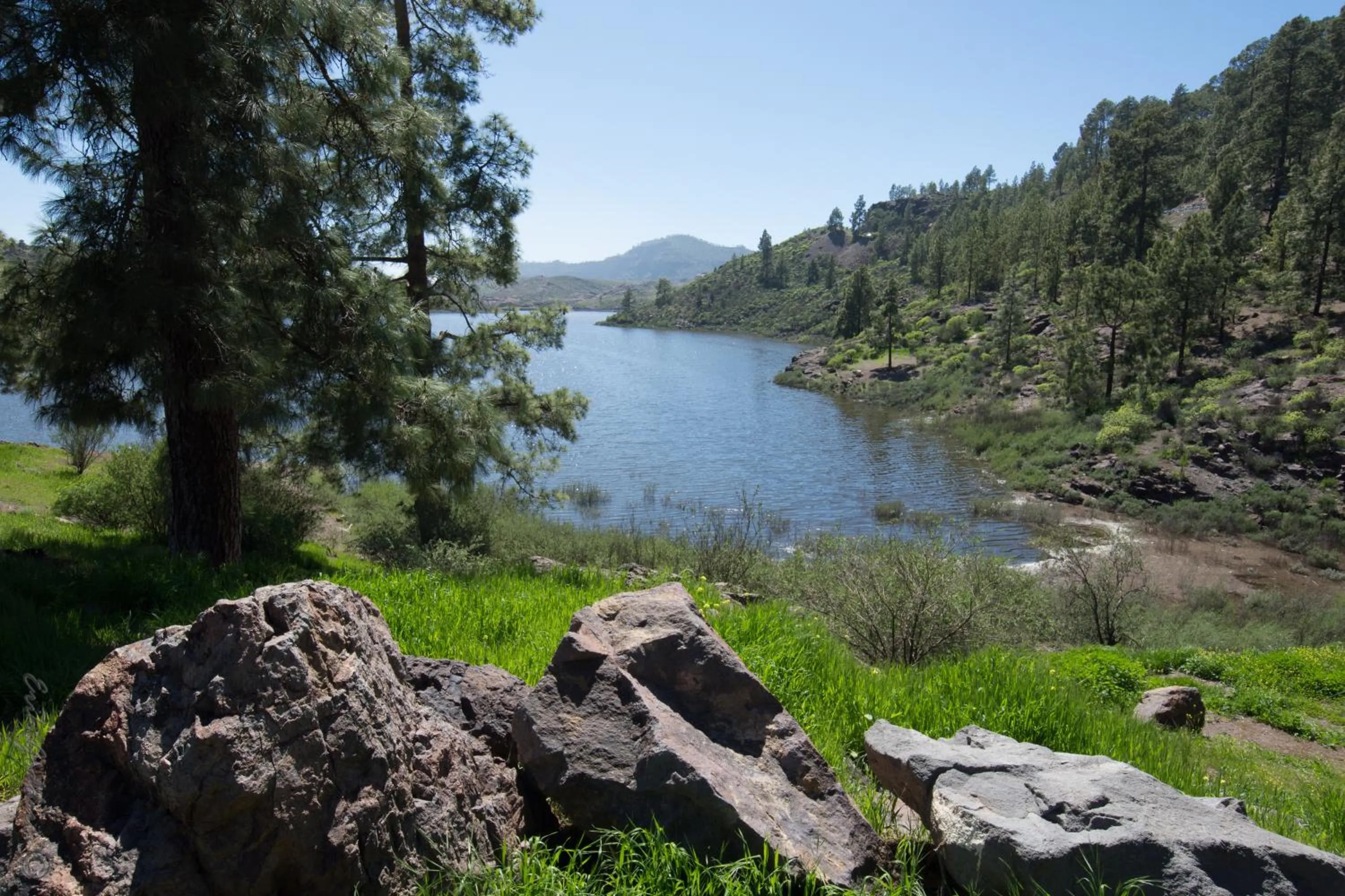 Natural landscape in Hotel Emblemático Arucas