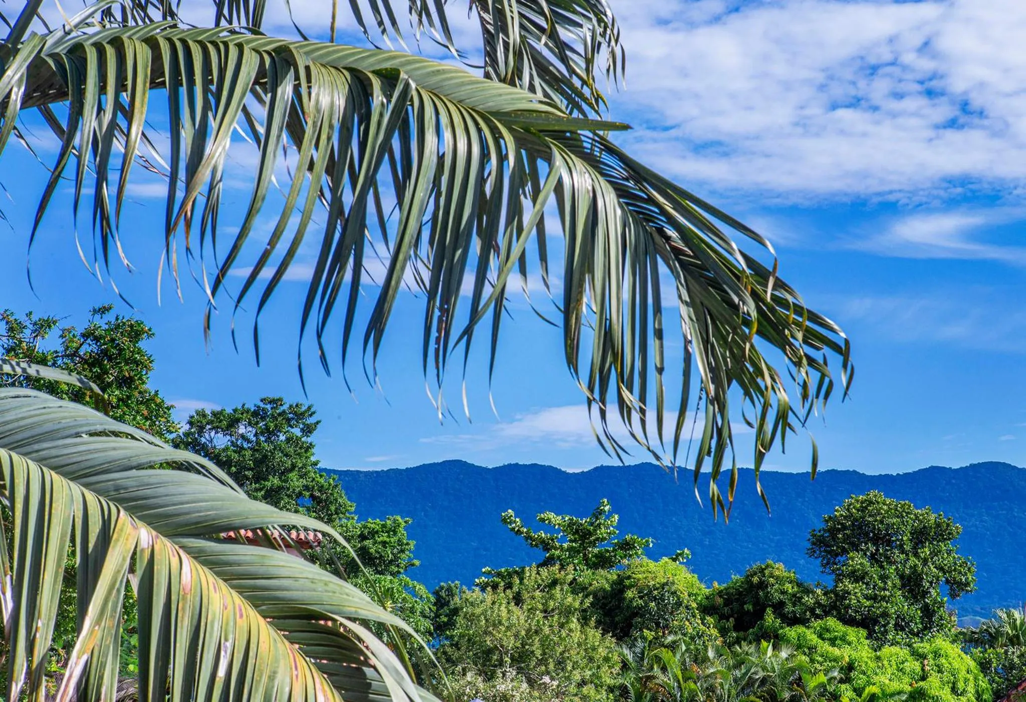 Mountain view in Hotel Alemão Beach de Ilhabela